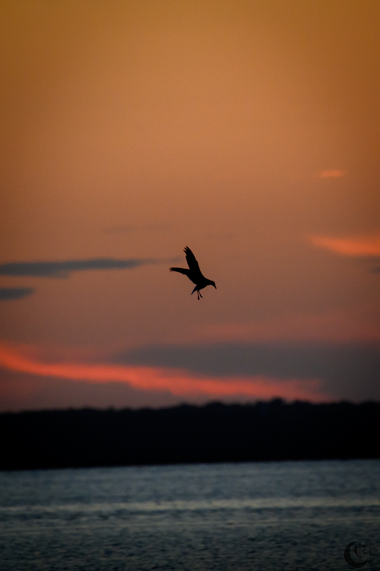 !!_220816_August_LBI_2172!!