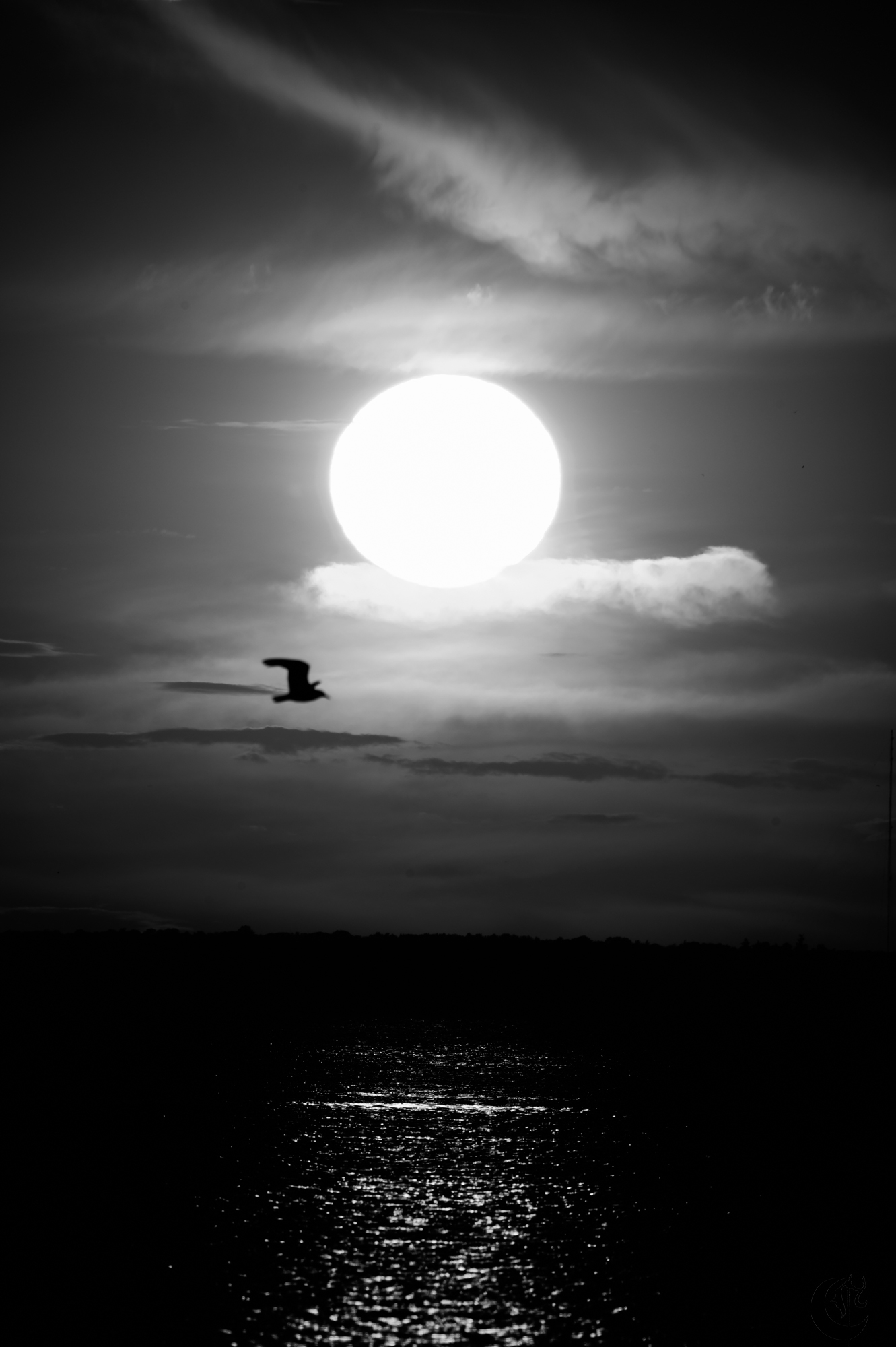 !!_220816_August_LBI_2368-2!!