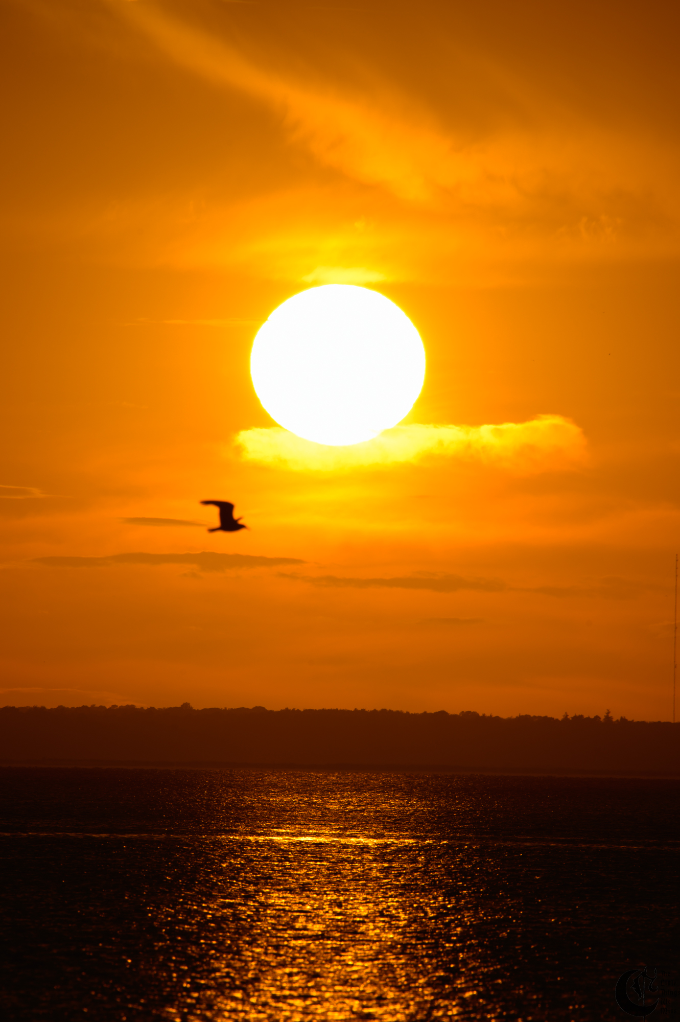 !!_220816_August_LBI_2368!!