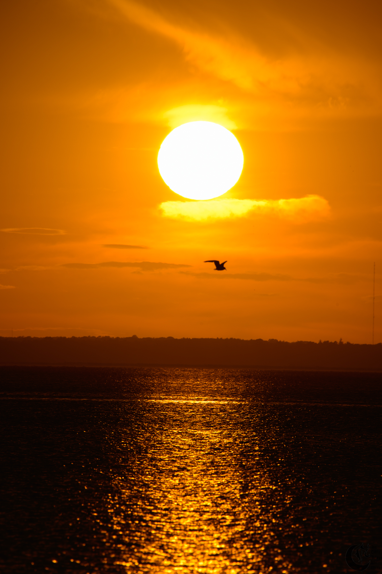!!_220816_August_LBI_2434!!