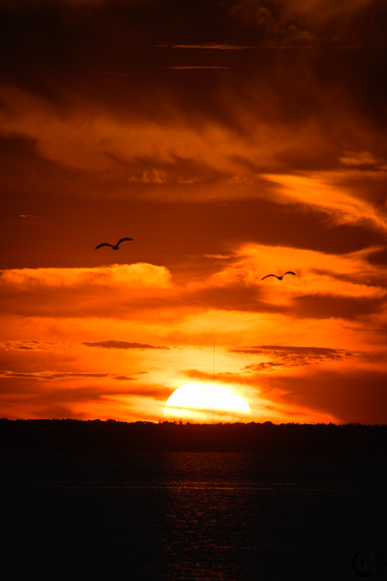 !!_220816_August_LBI_3274!!