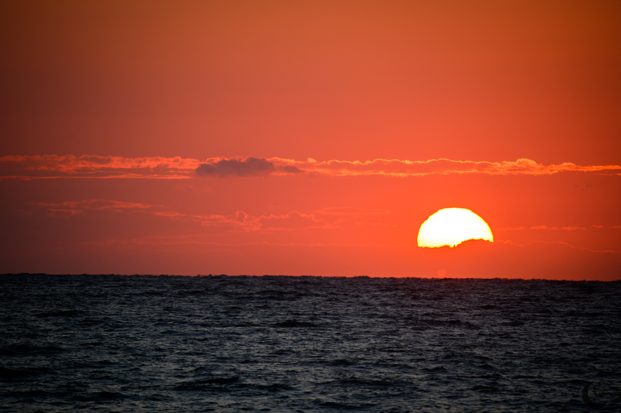 !!_221009_Myrtle_Beach_0145!!