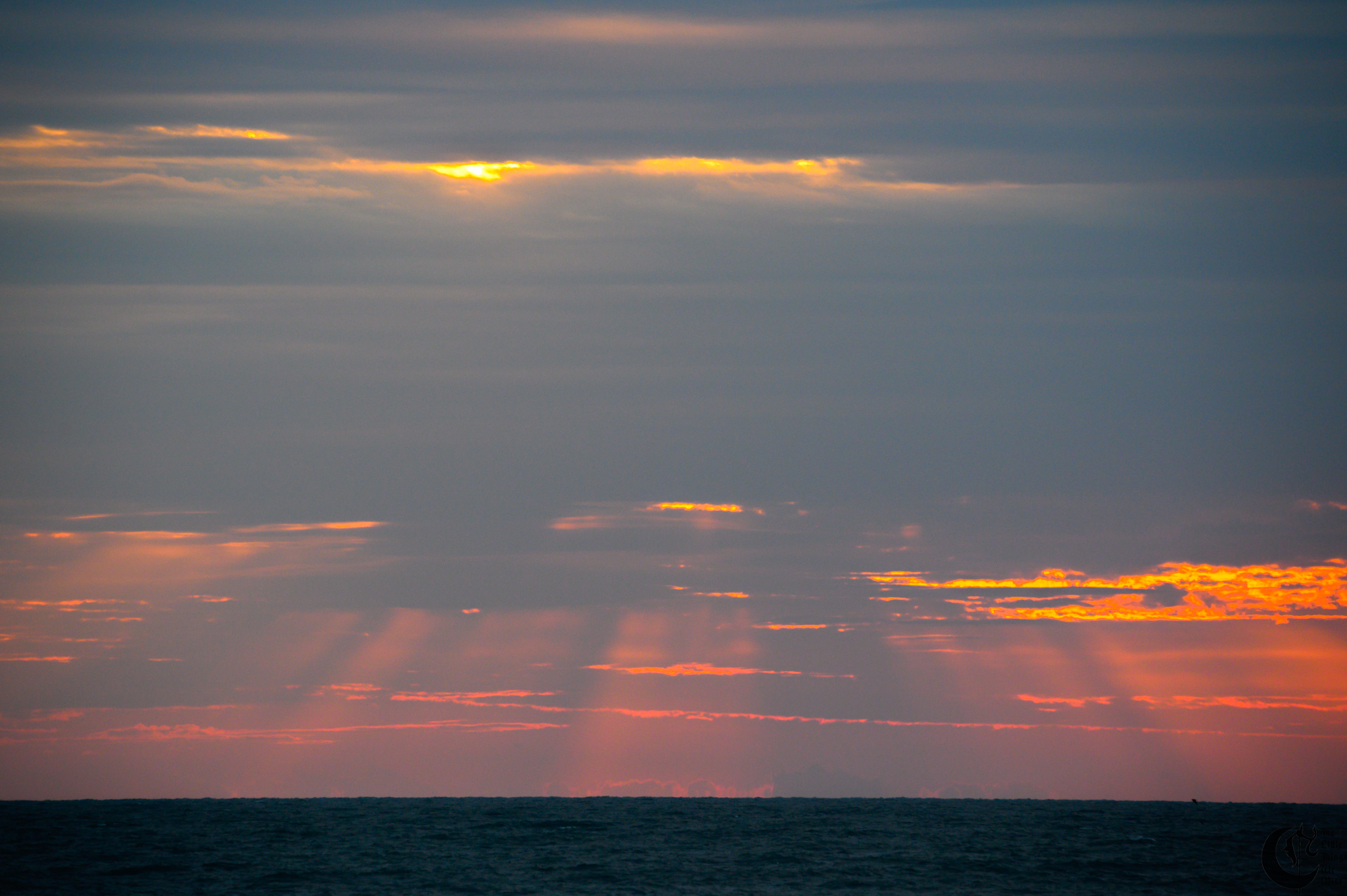 !!_221011_Myrtle_Beach_0442!!