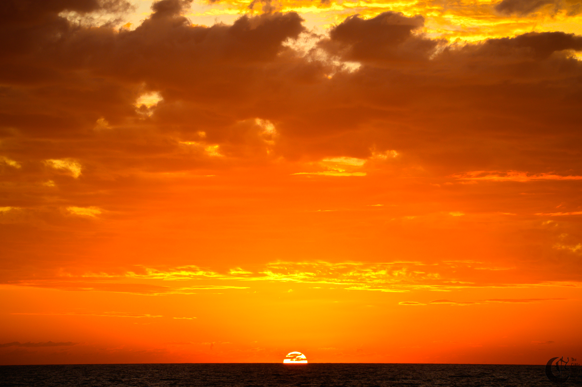 !!_221012_Myrtle_Beach_0463!!