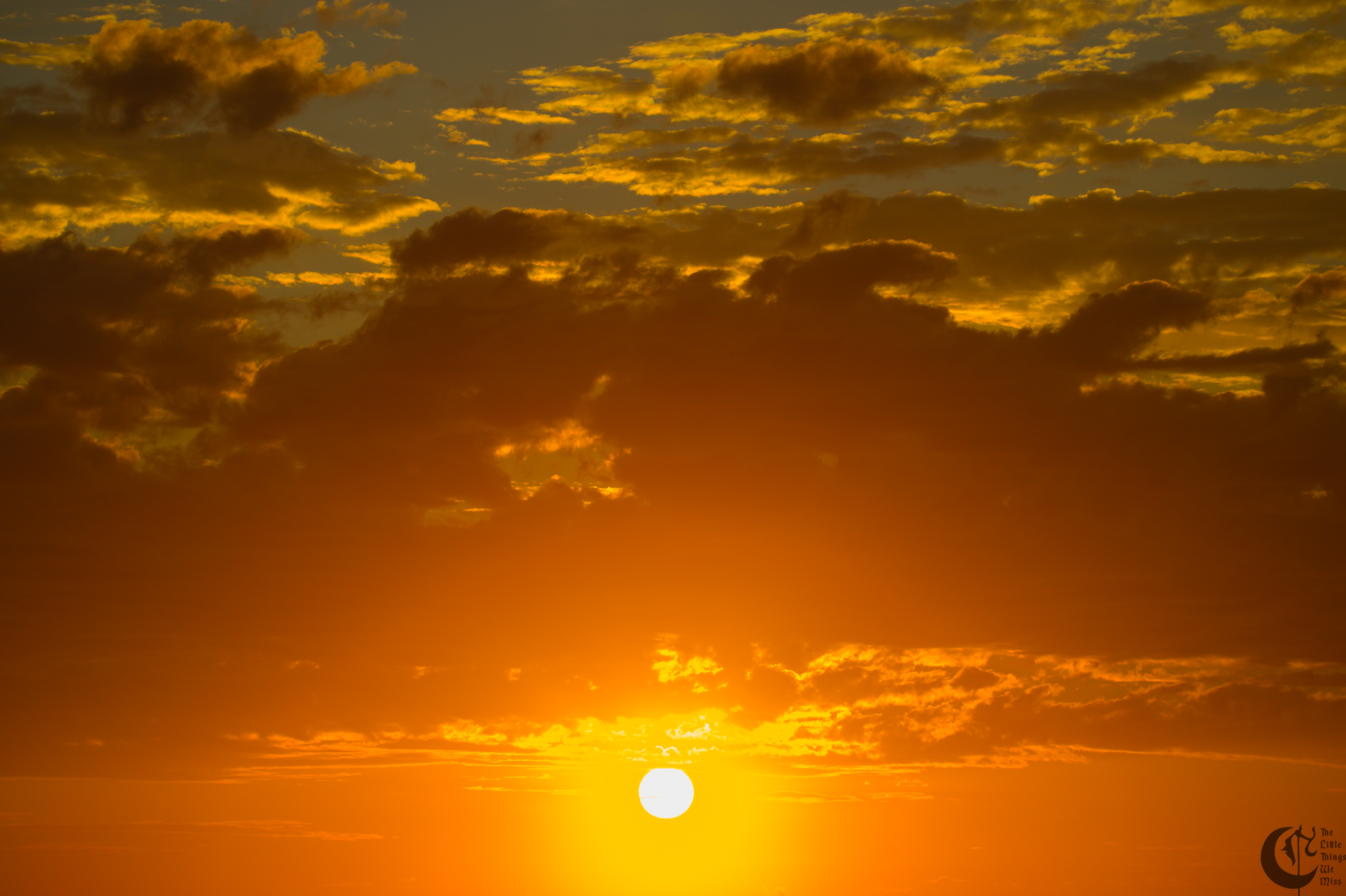 !!_221012_Myrtle_Beach_0483!!