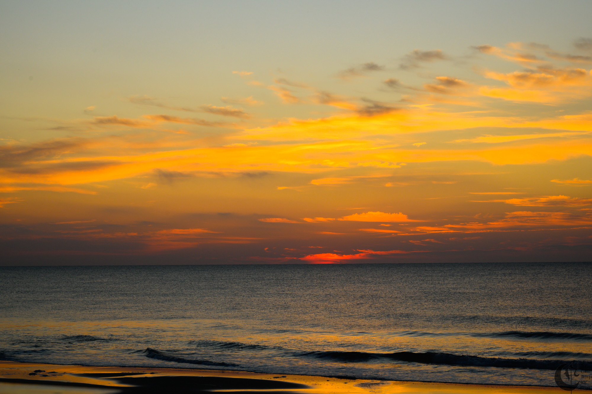 !!_221014_Myrtle_Beach_0488!!