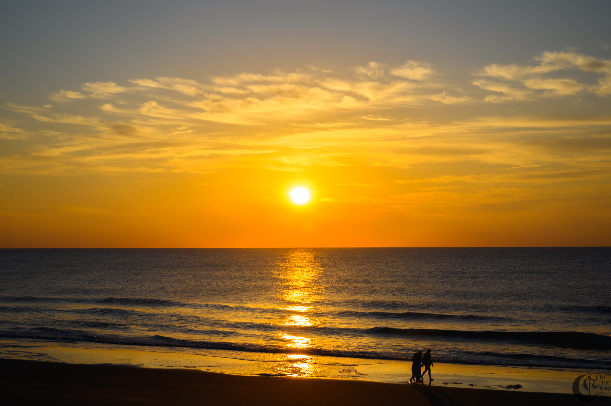 !!_221014_Myrtle_Beach_0582-2!!
