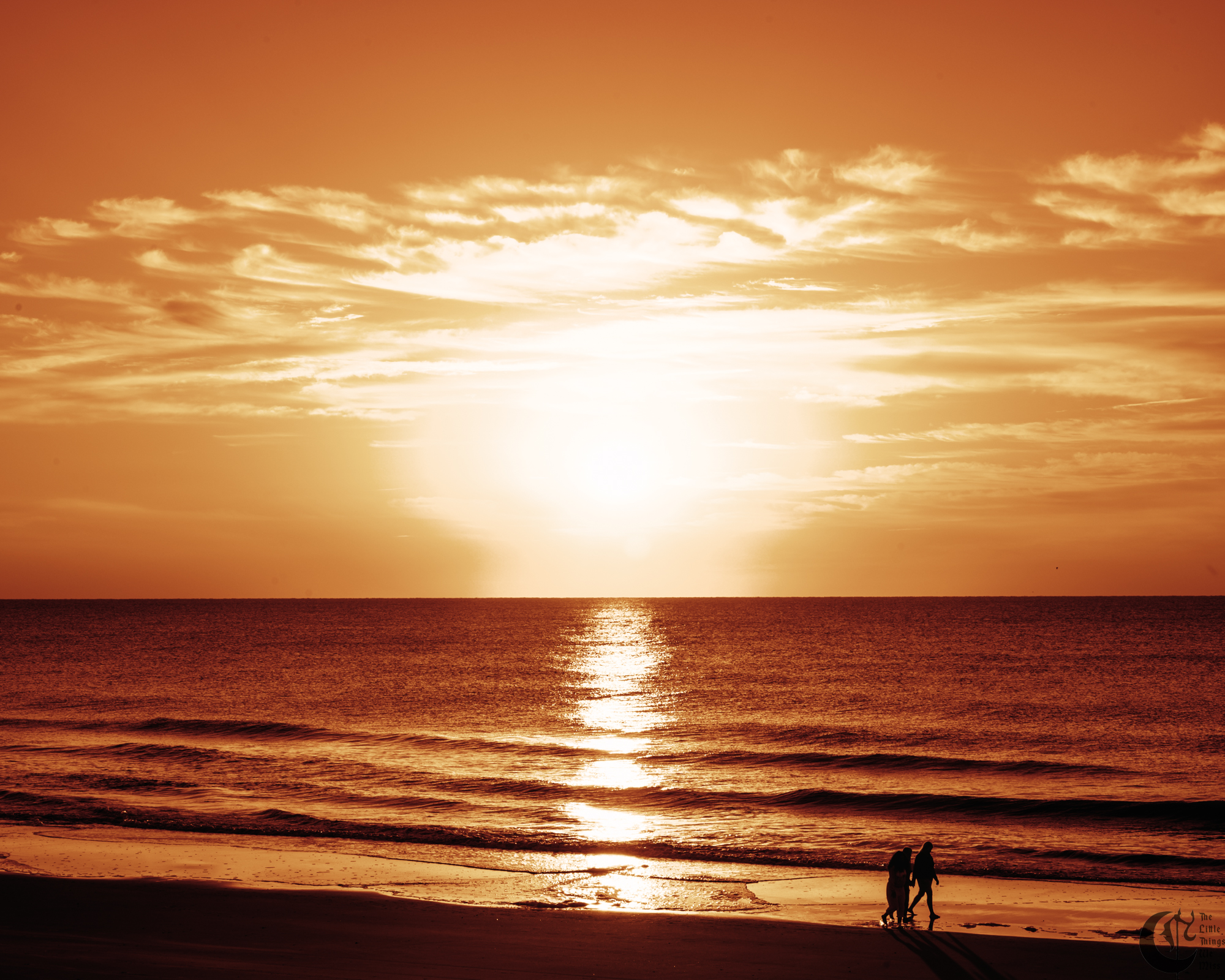 !!_221014_Myrtle_Beach_0582!!