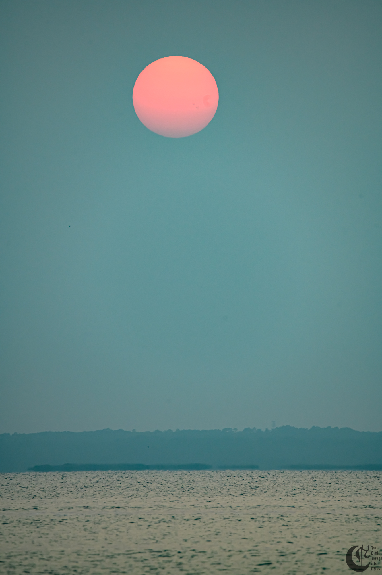!!_230630_Shore_0033!!