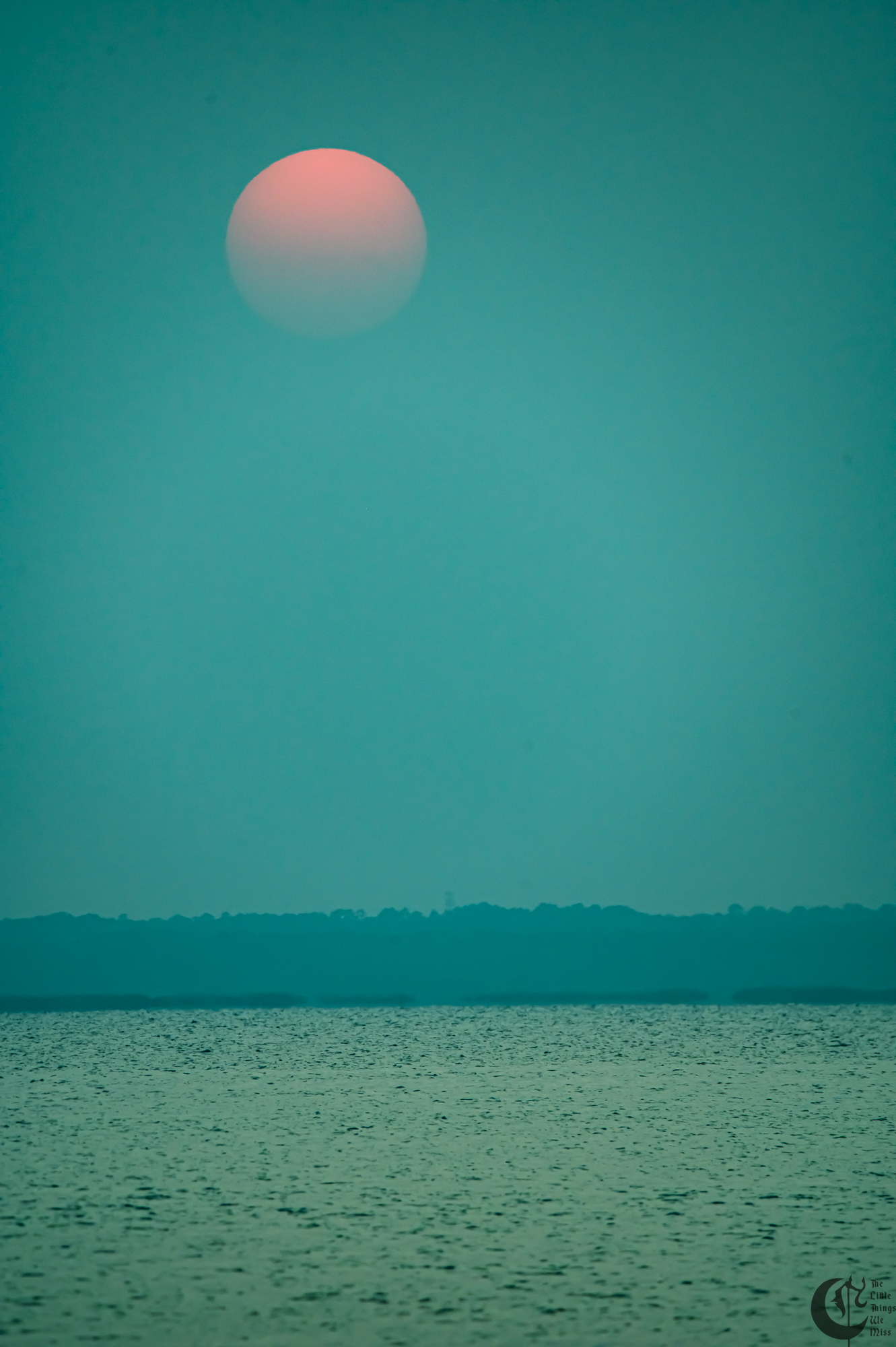 !!_230630_Shore_0060!!