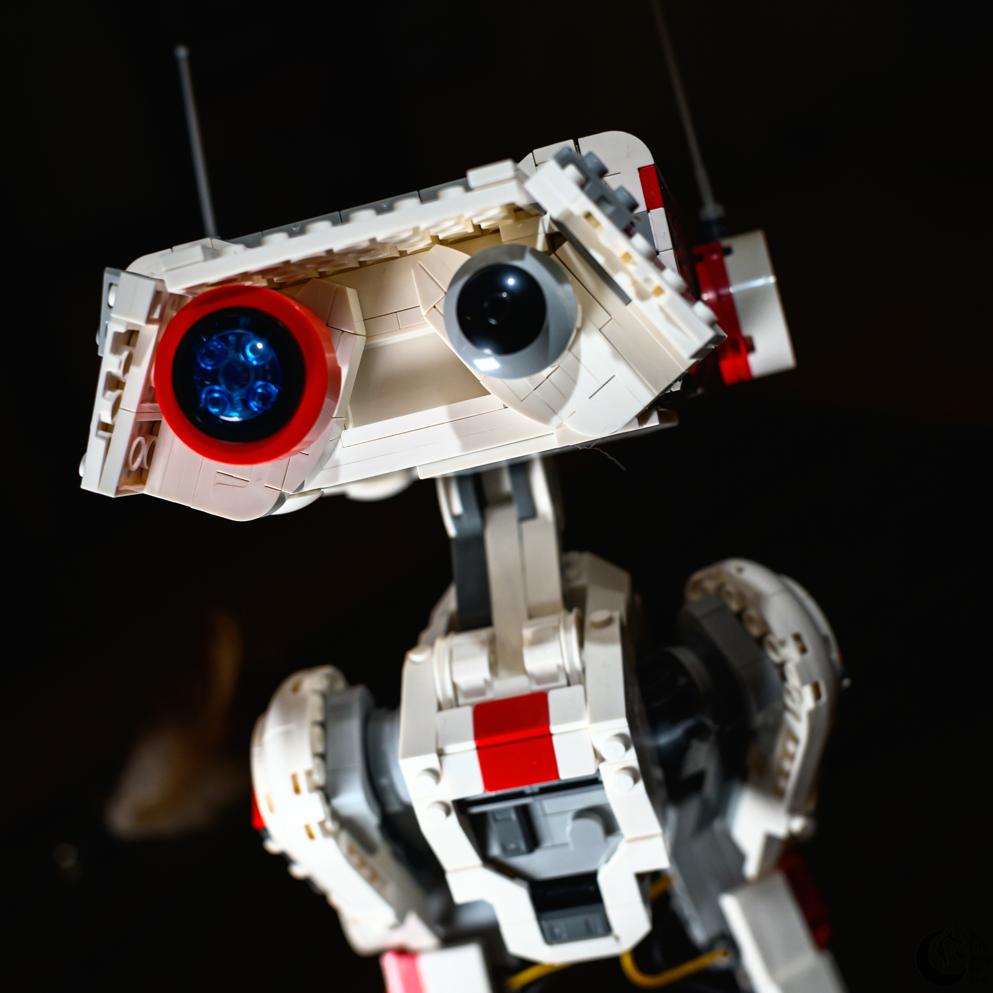 !!_231015_Zf_Testing_0075!!