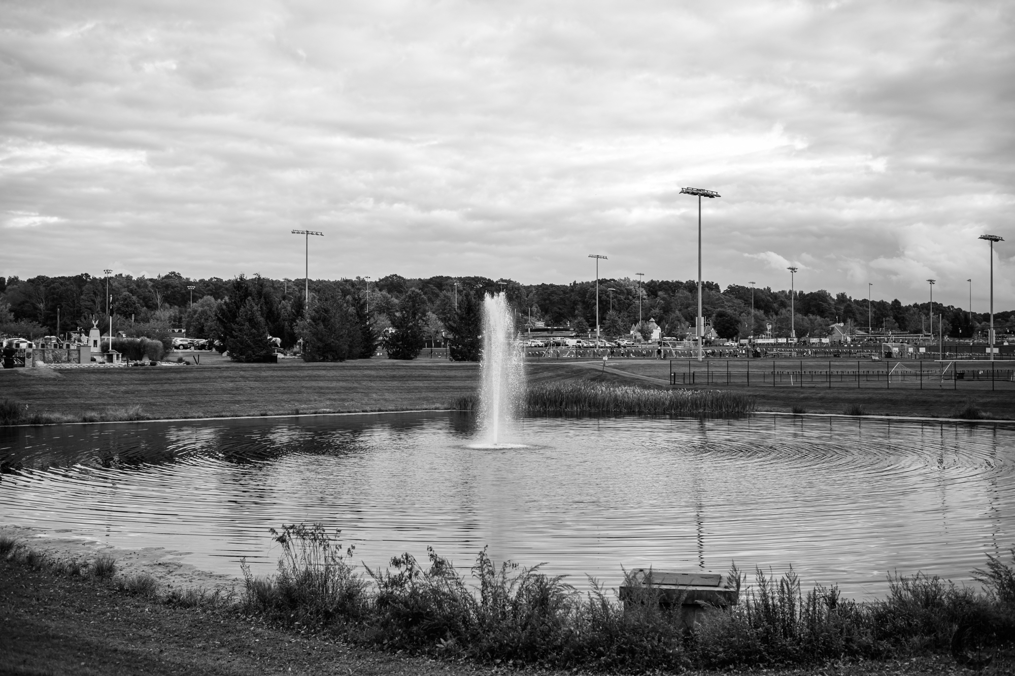 !!_231018_Zf_Walk_0005!!