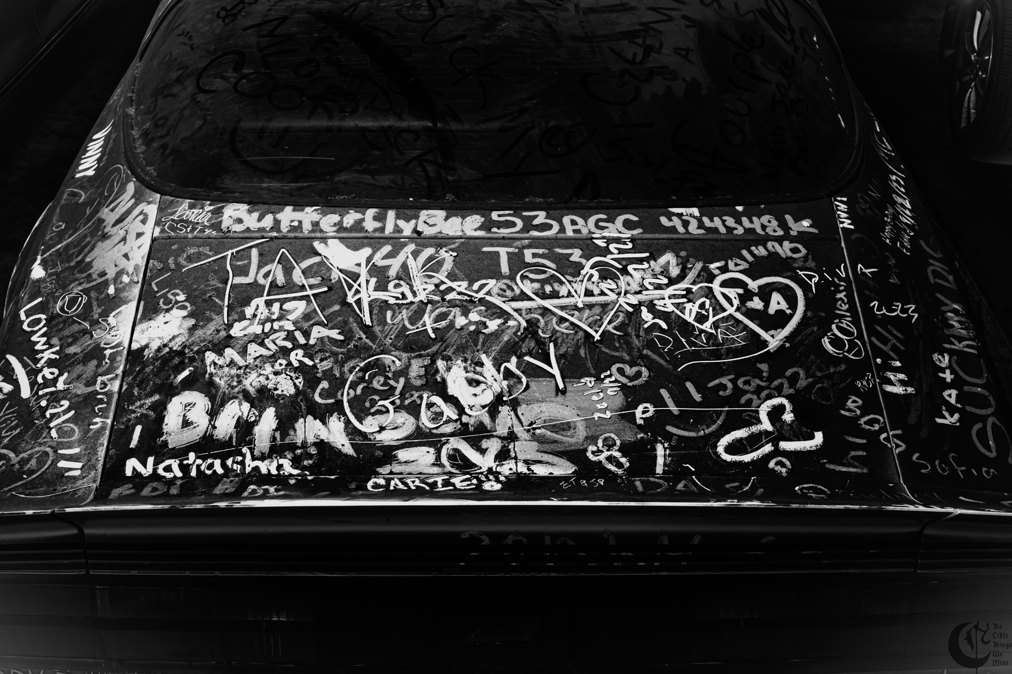 !!_231103_NY_Mental_Health_Day_0009!!