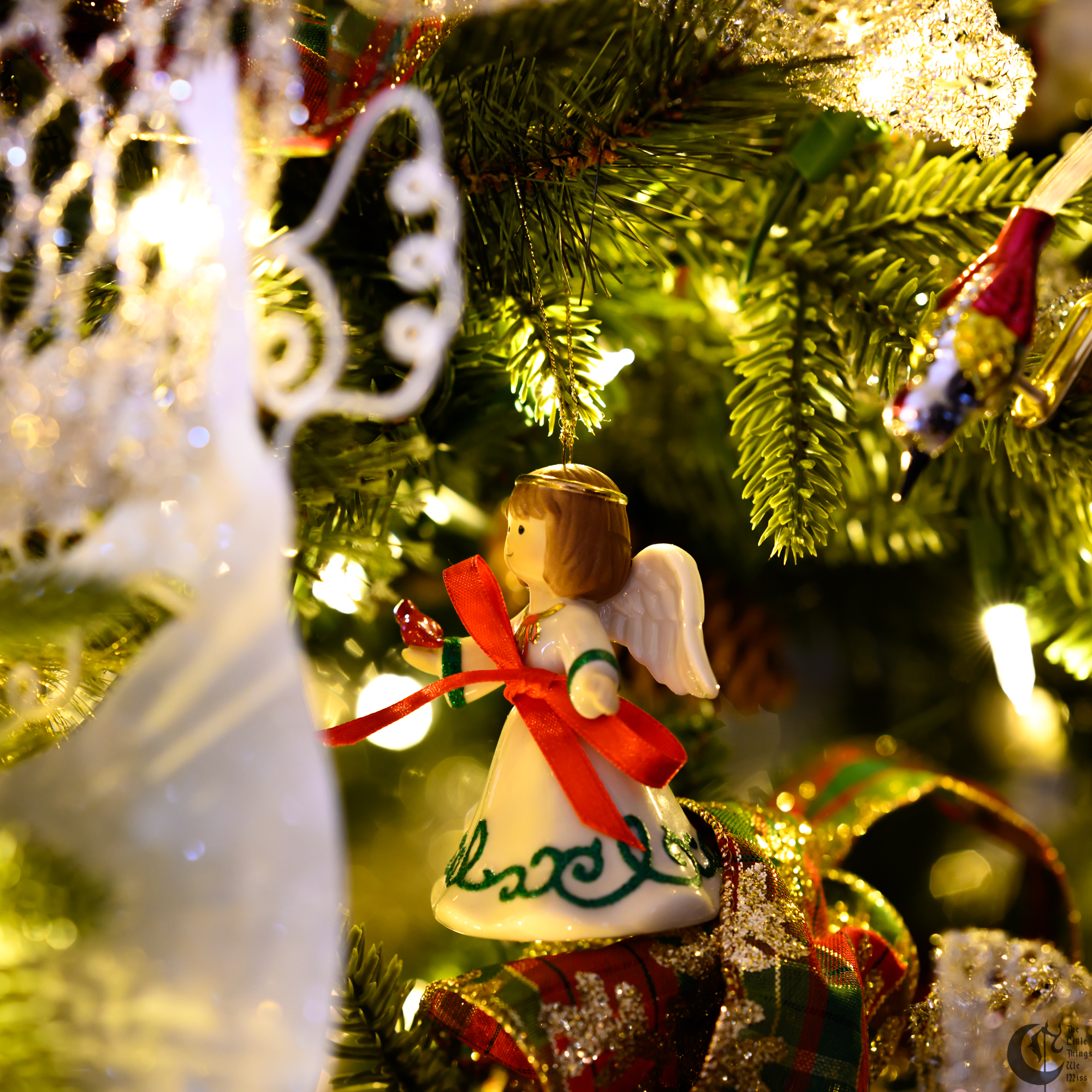 !!_231225_Christmas_Tree_0028!!