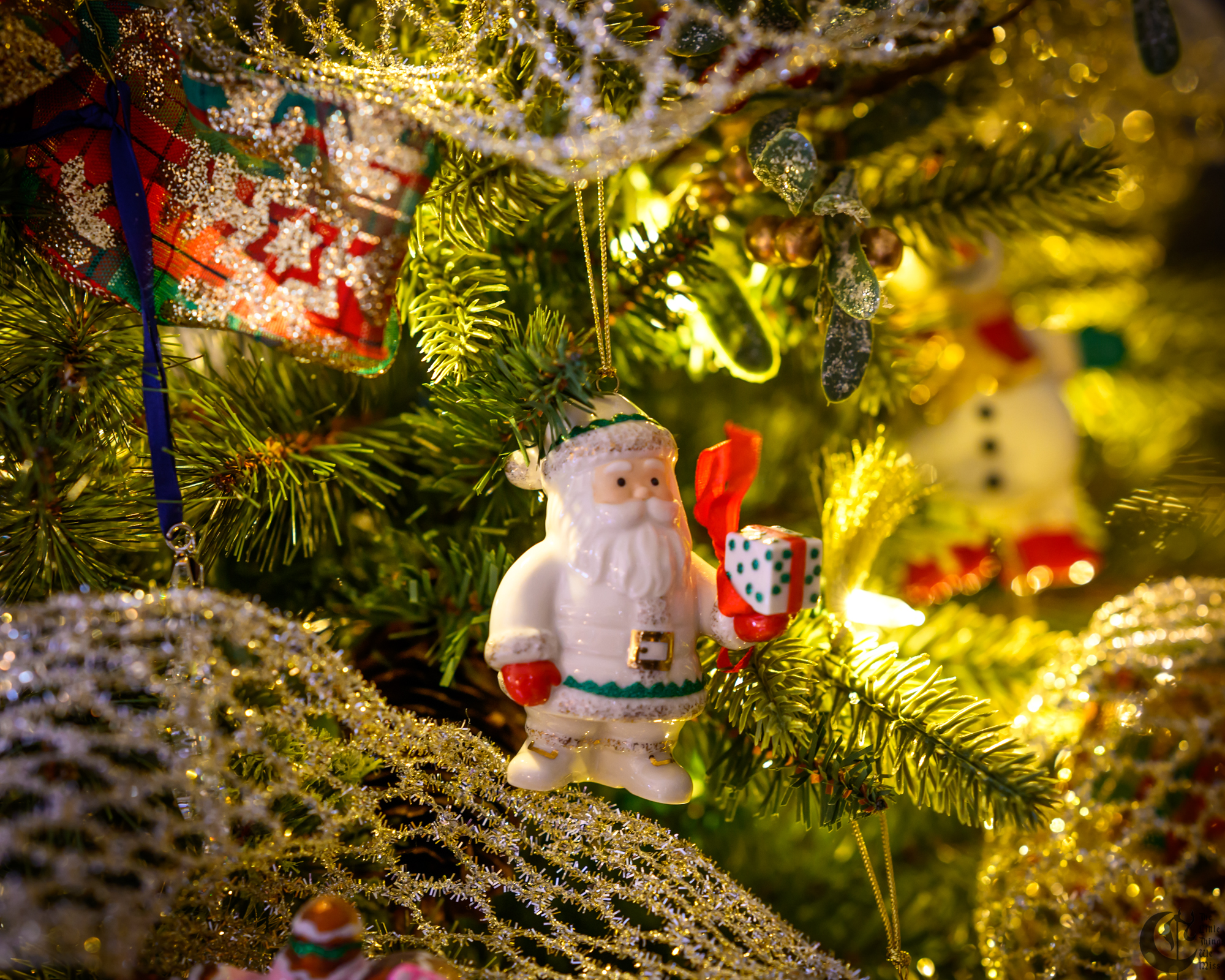 !!_231225_Christmas_Tree_0030!!