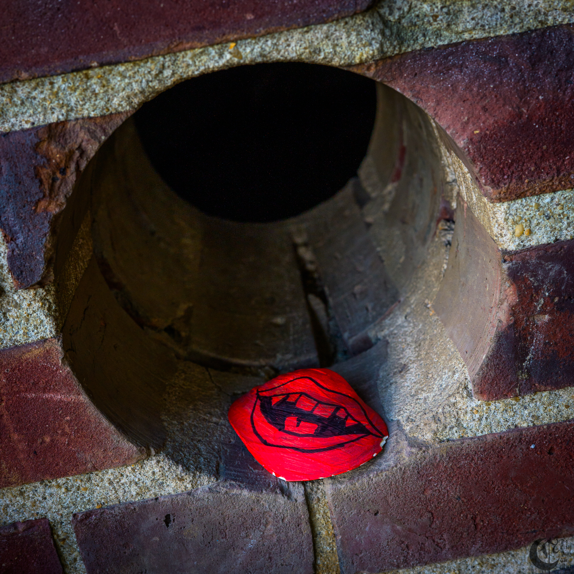 !!_241006_Asbury_Photo_Walk_0189!!