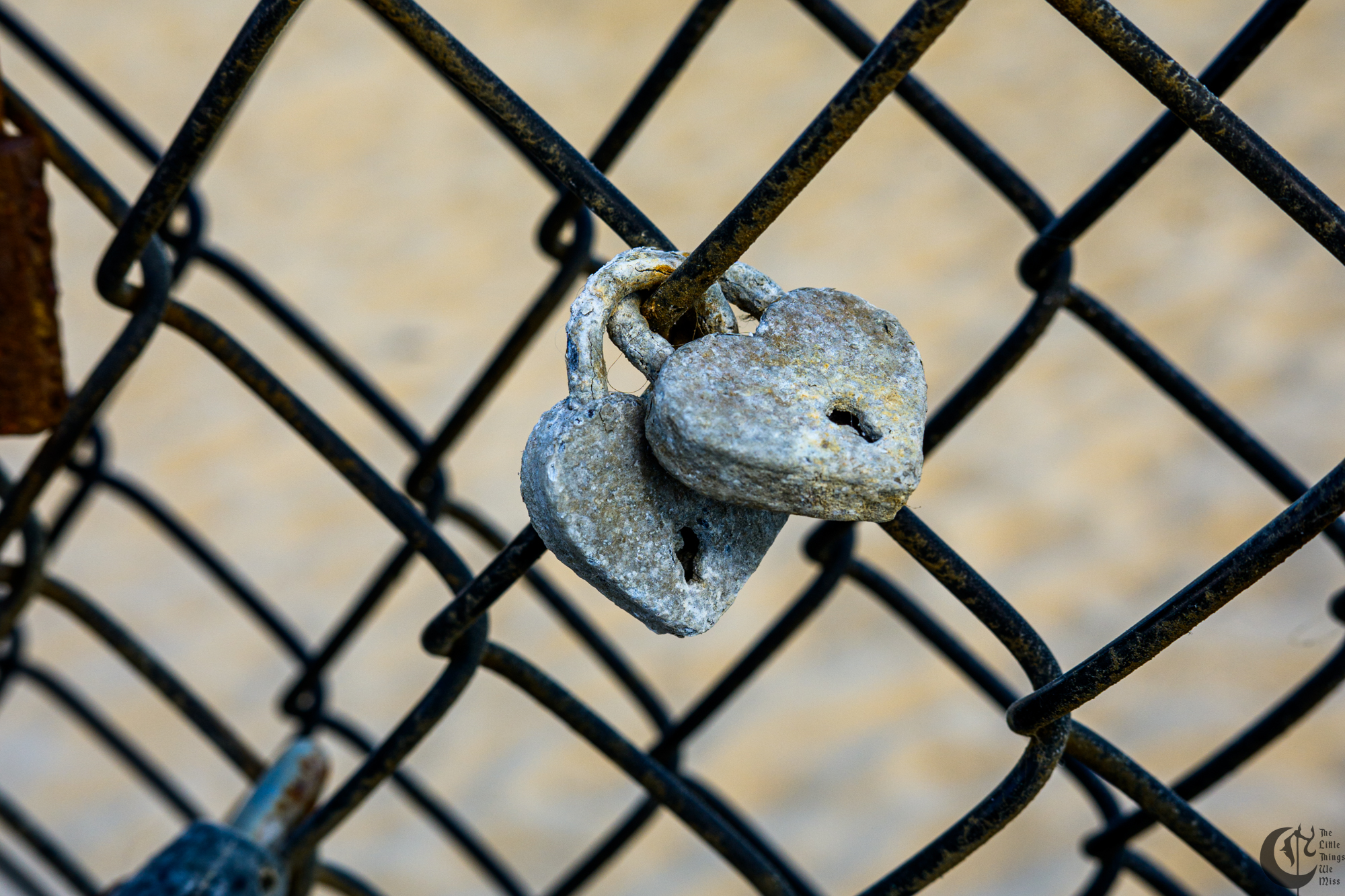 !!_241006_Asbury_Photo_Walk_0208!!