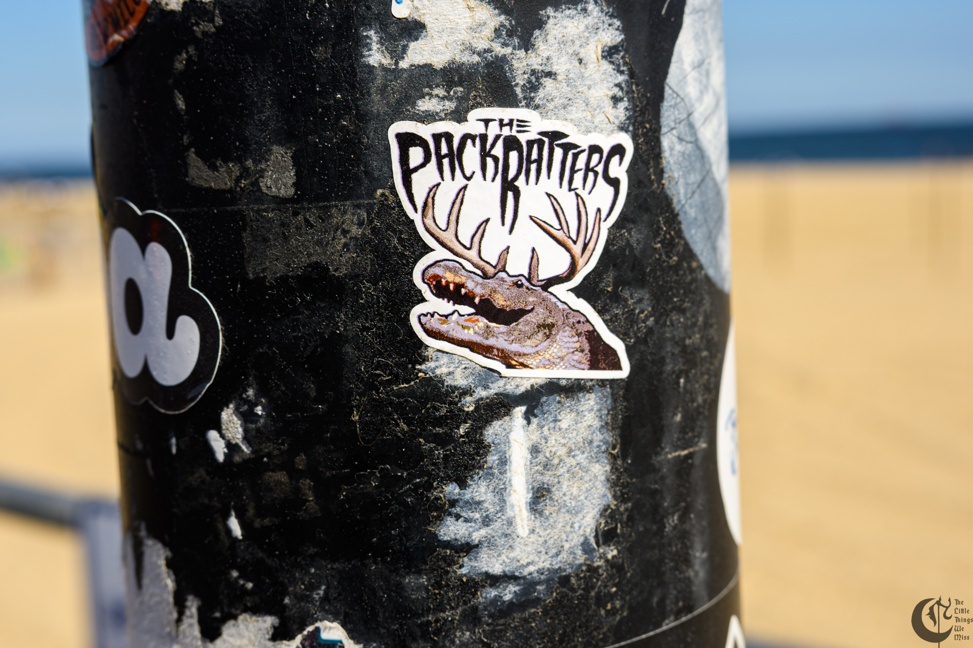 !!_241006_Asbury_Photo_Walk_0256!!