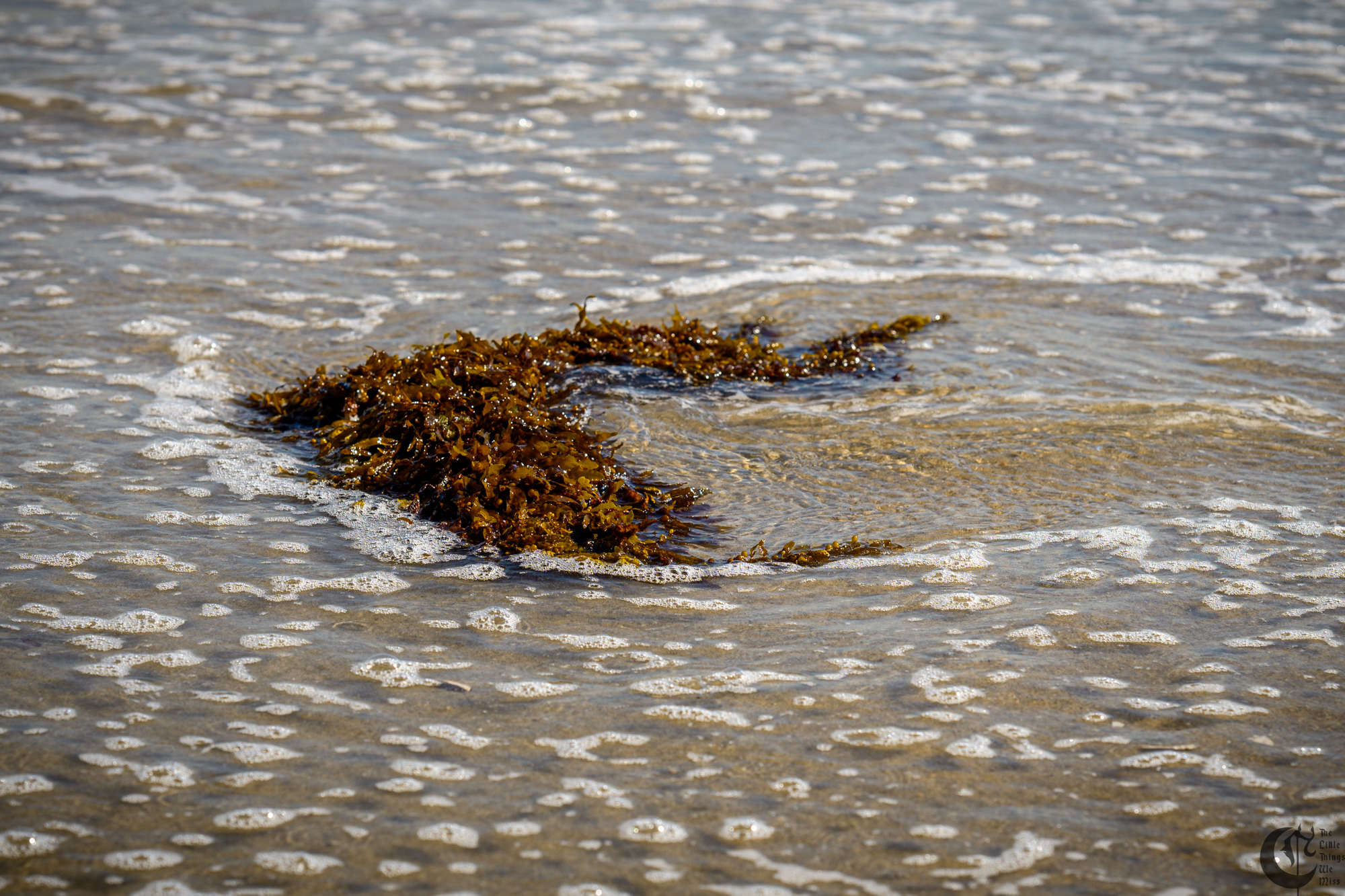 !!_241006_Asbury_Photo_Walk_0378!!