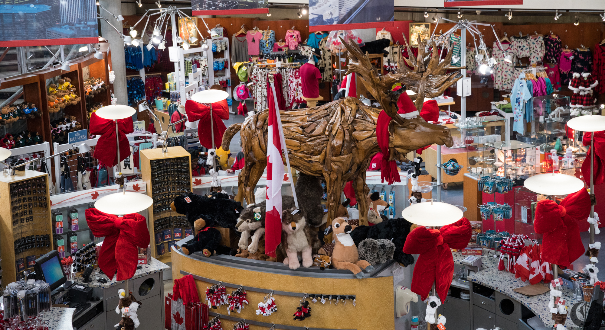!!_171208_Toronto_0215!!
