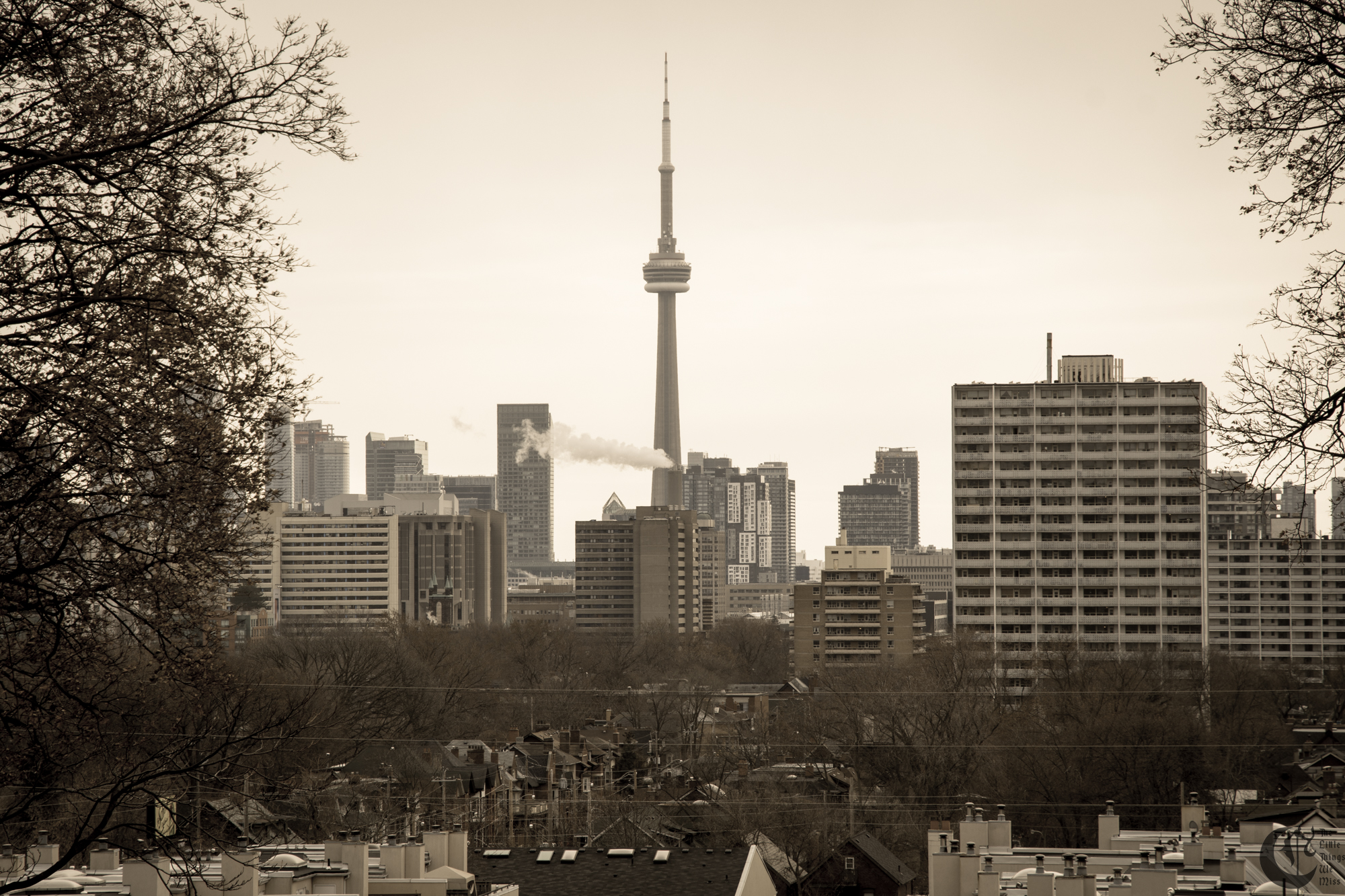 !!_171209_Toronto_0272!!