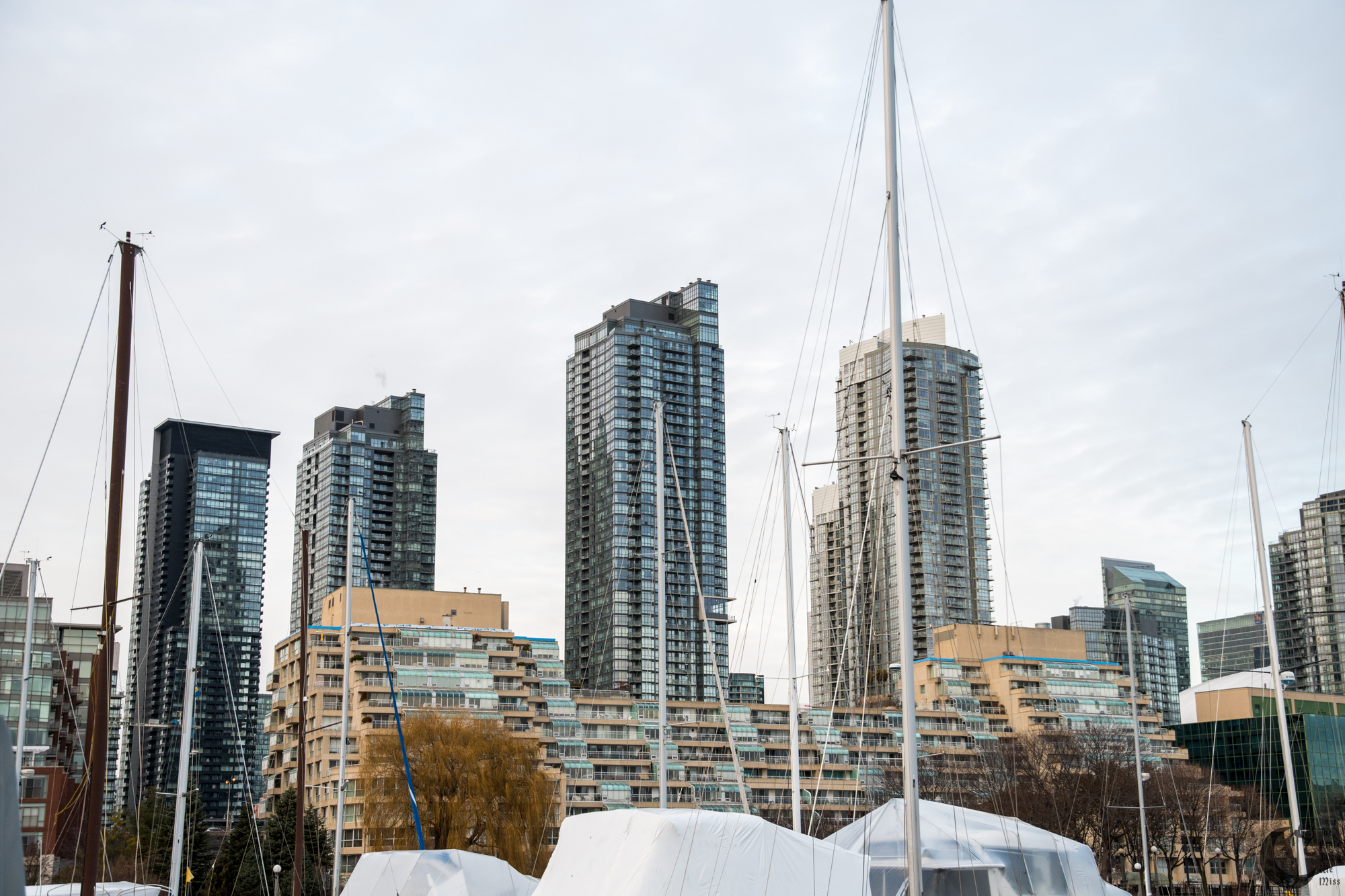 !!_171209_Toronto_1275!!