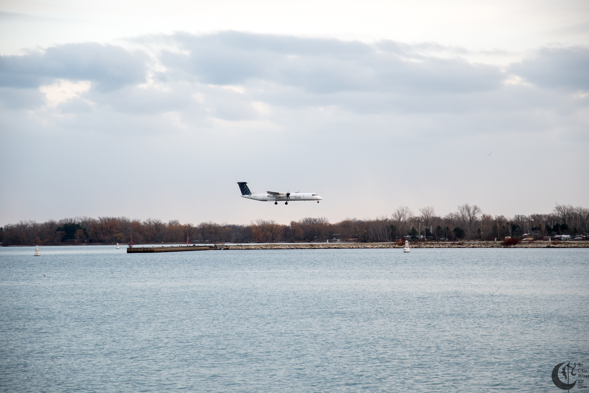 !!_171209_Toronto_1302!!