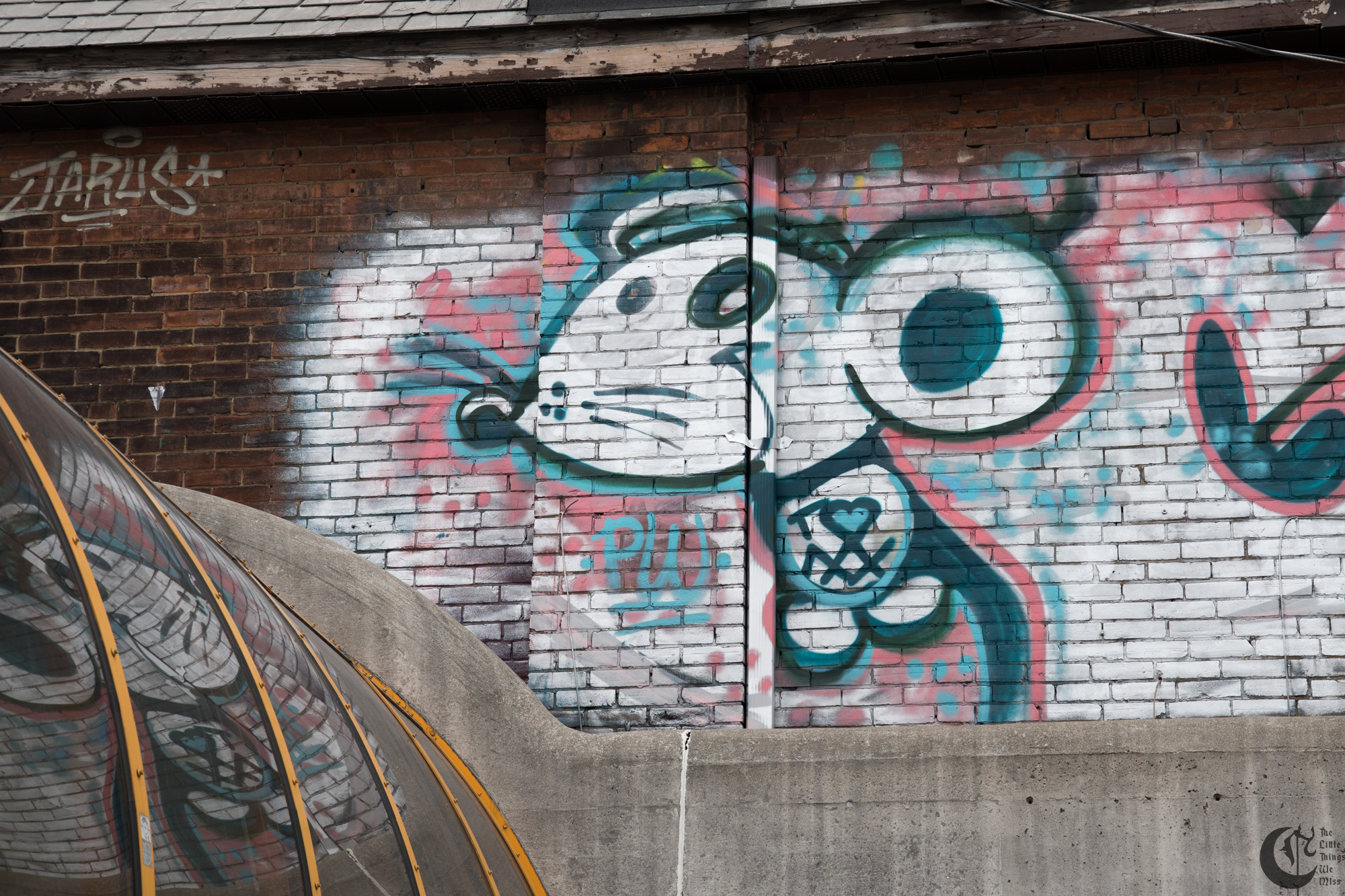 !!_171209_Toronto_1494!!