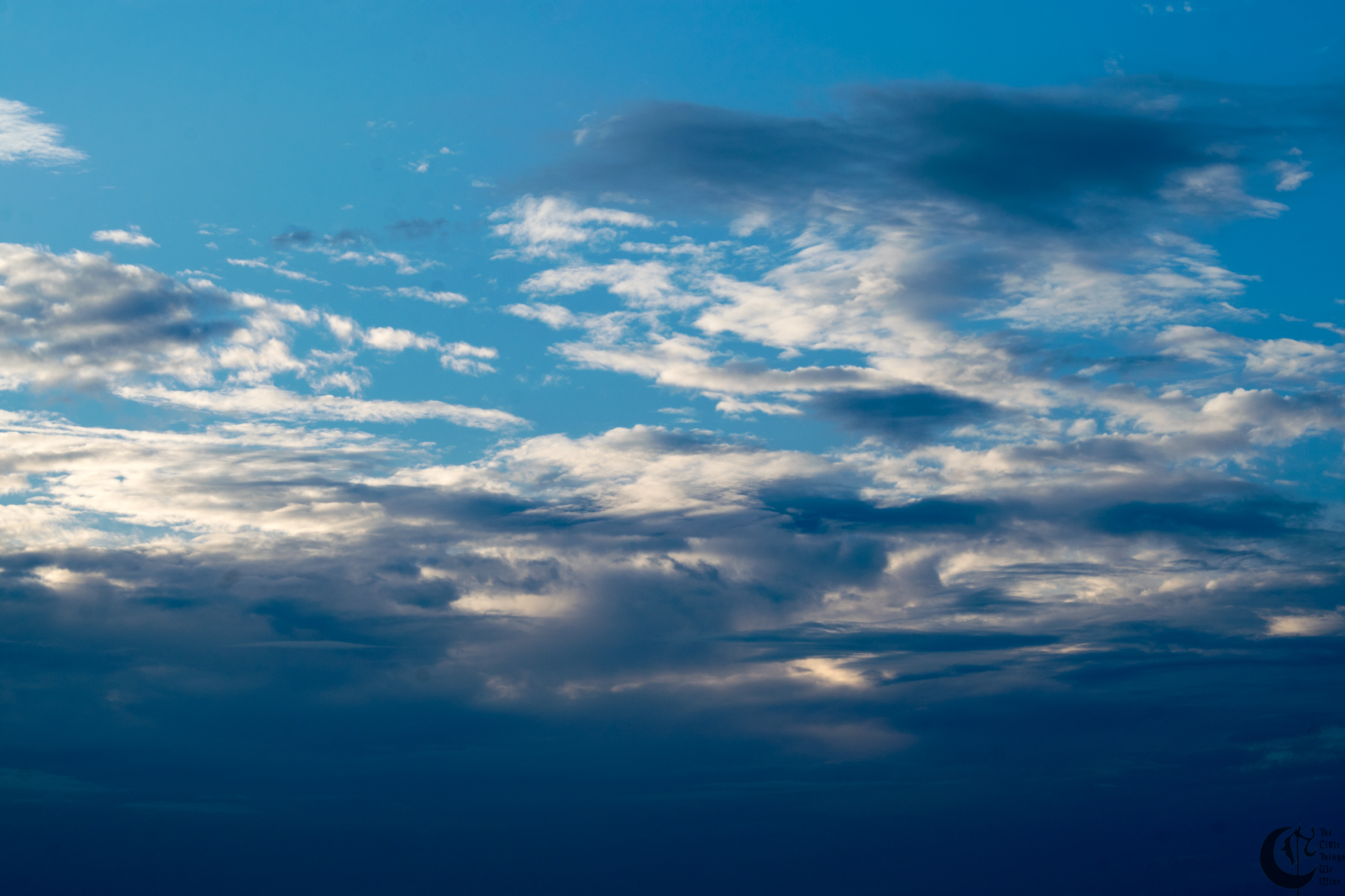 !!_160713_LBI_0304!!
