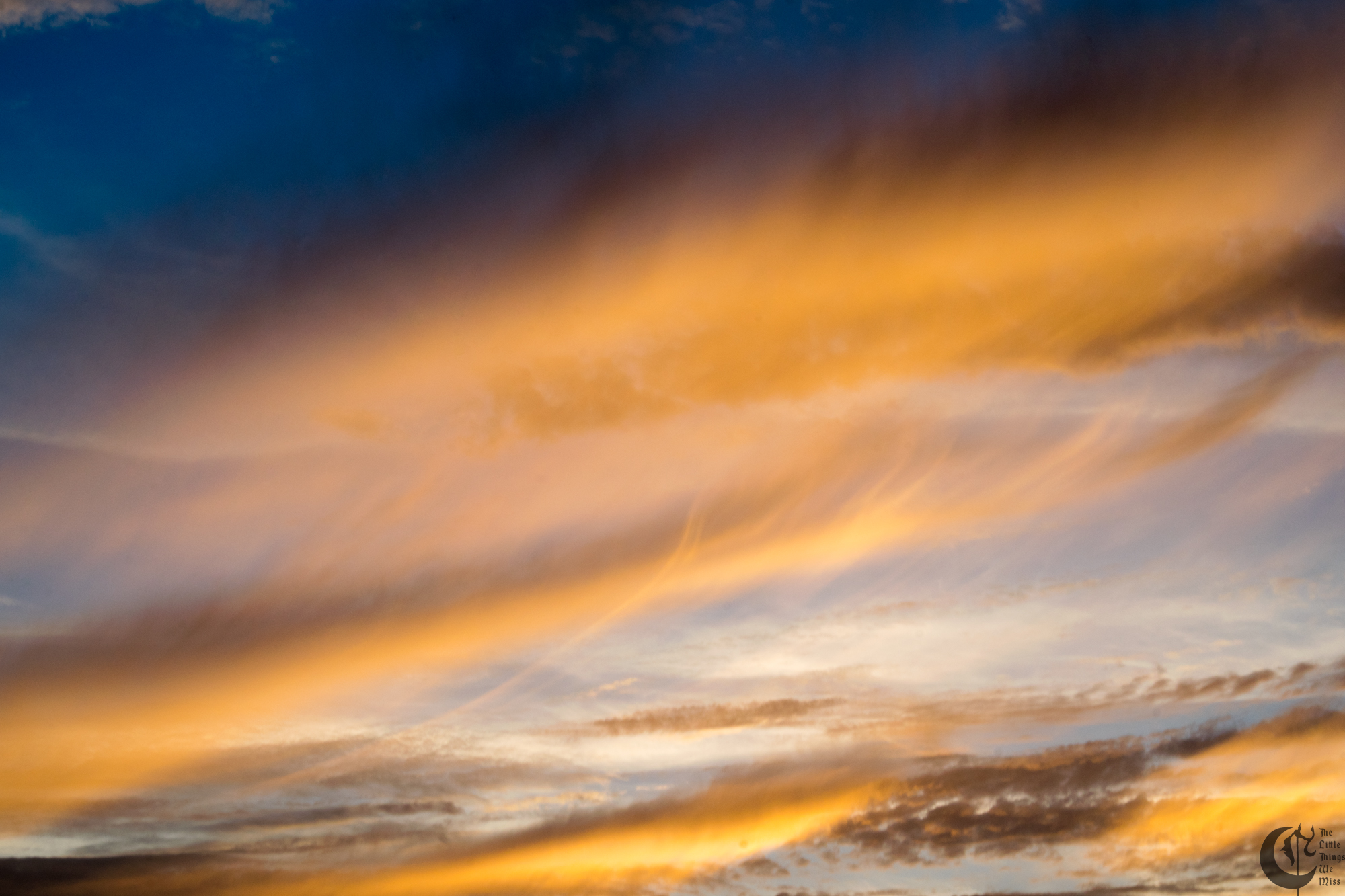 !!_160715_LBI_1287!!