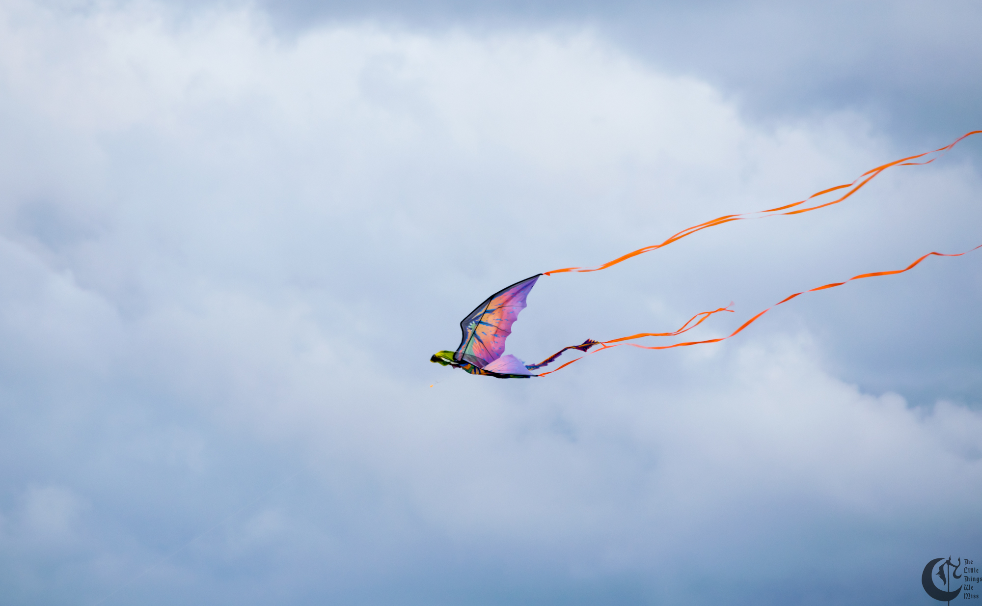 !!_170828_LBI_0025!!