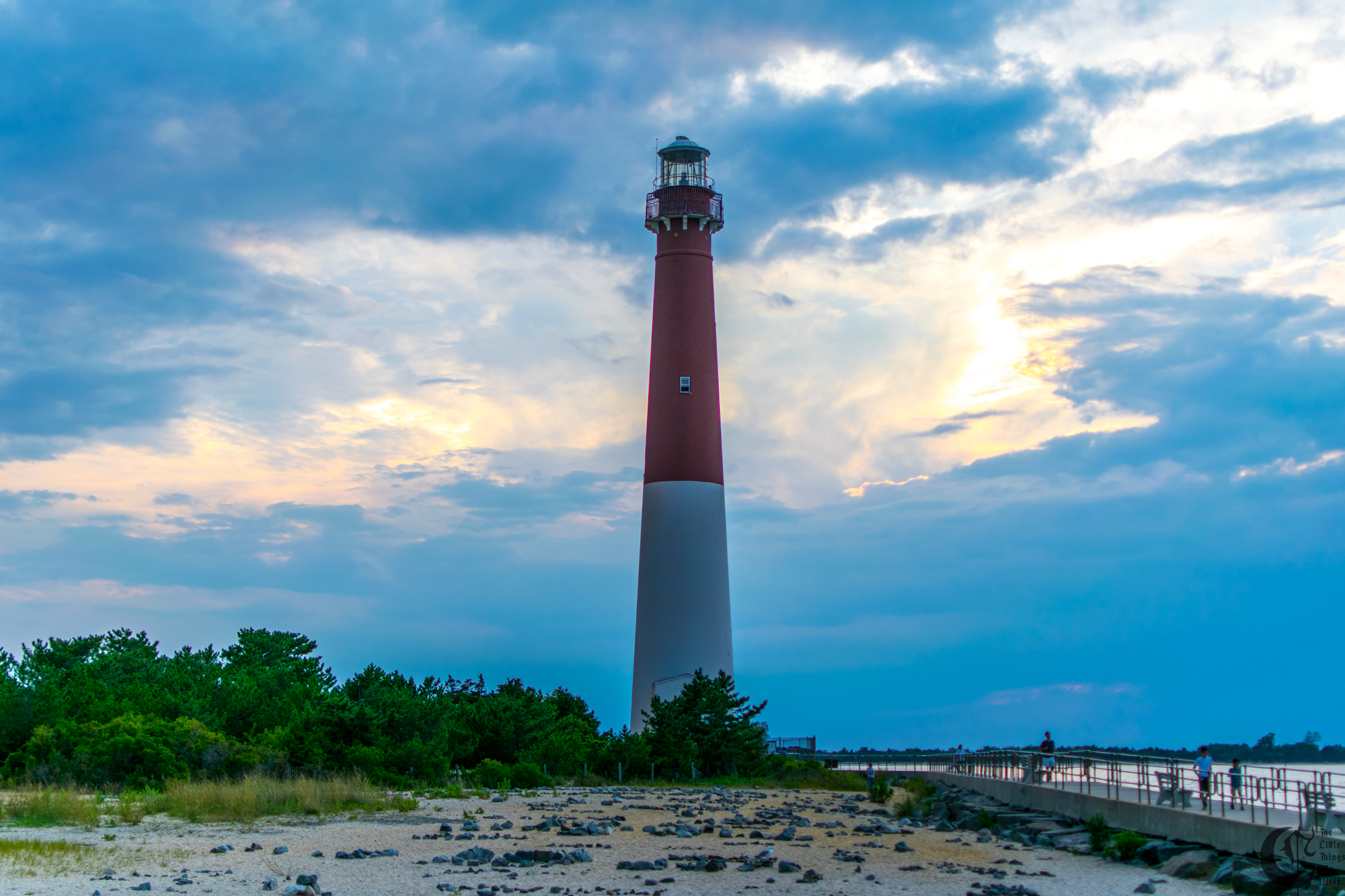 !!_170831_LBI_0446!!