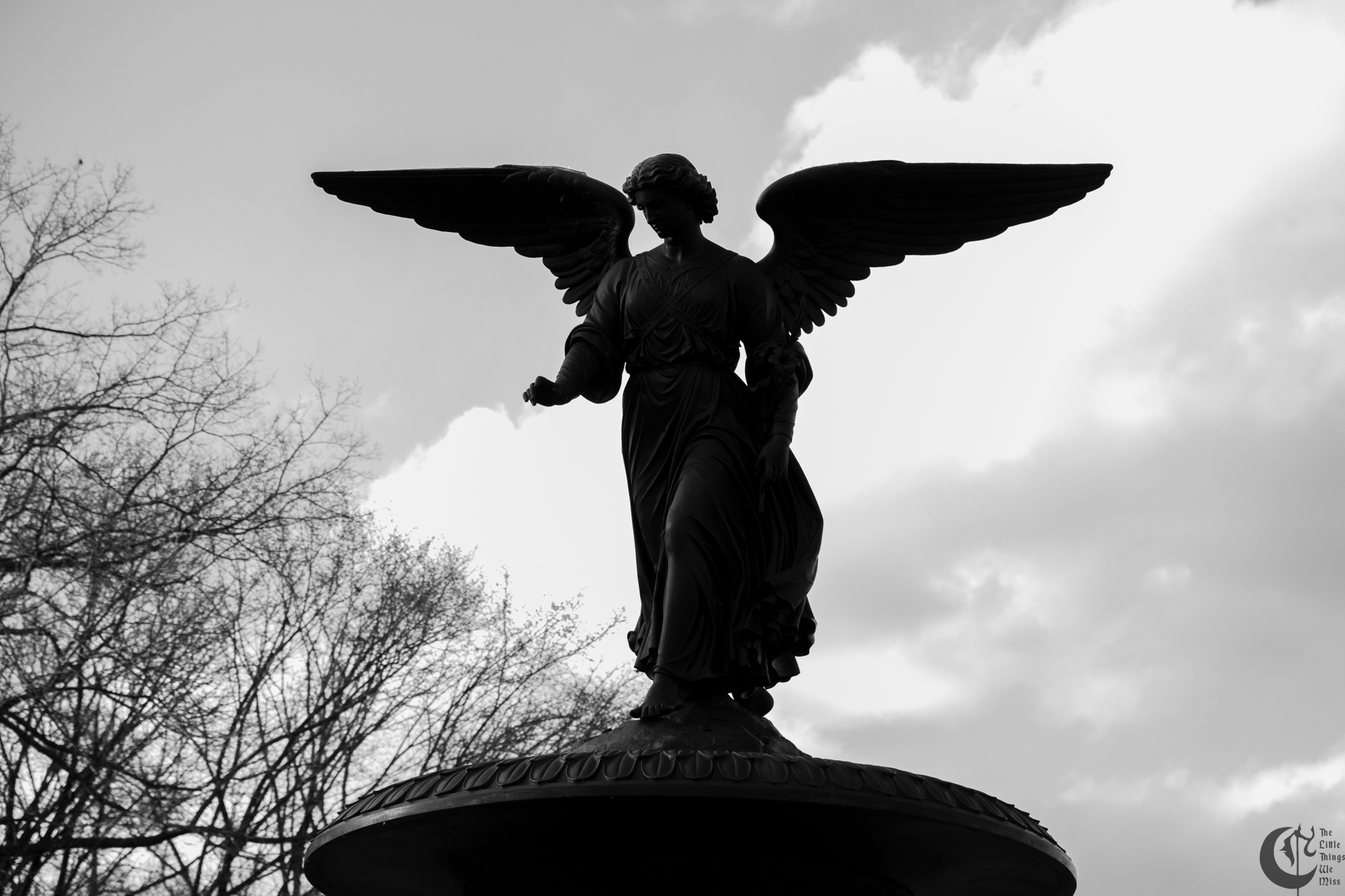 !!_180405_central_park_080!!