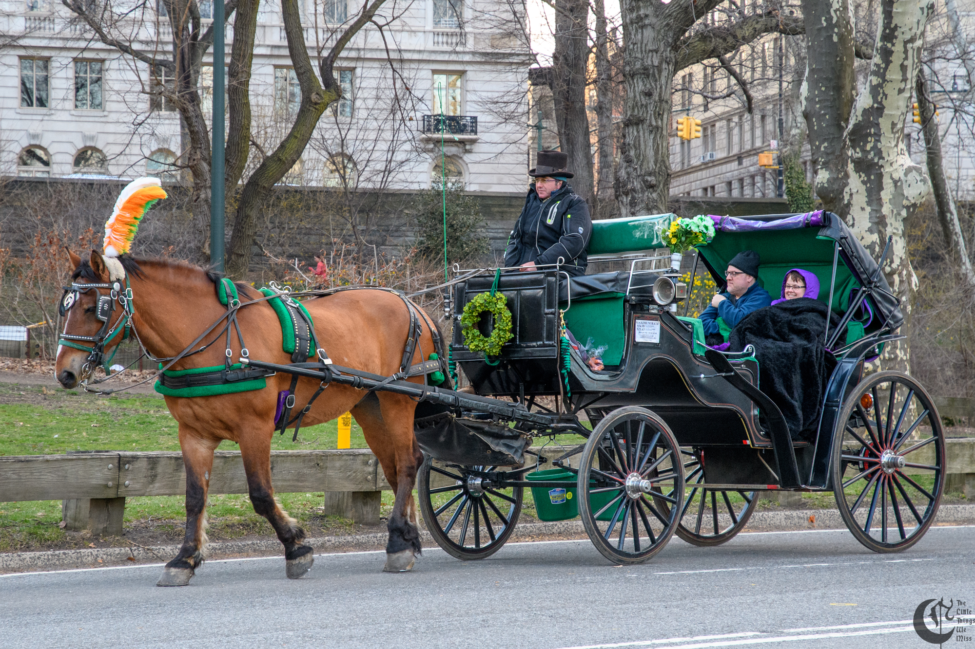 !!_180405_central_park_103!!