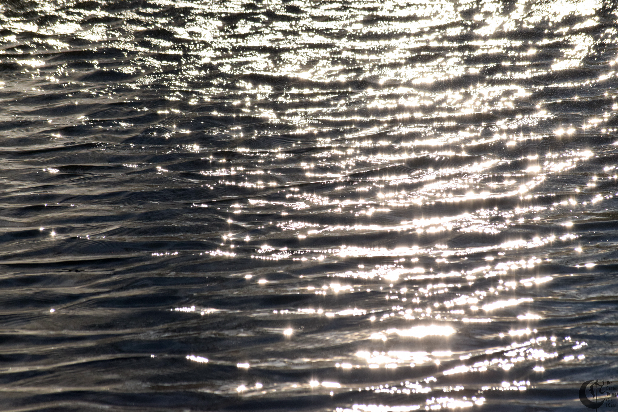 !!_922_-_DSC_5818!!