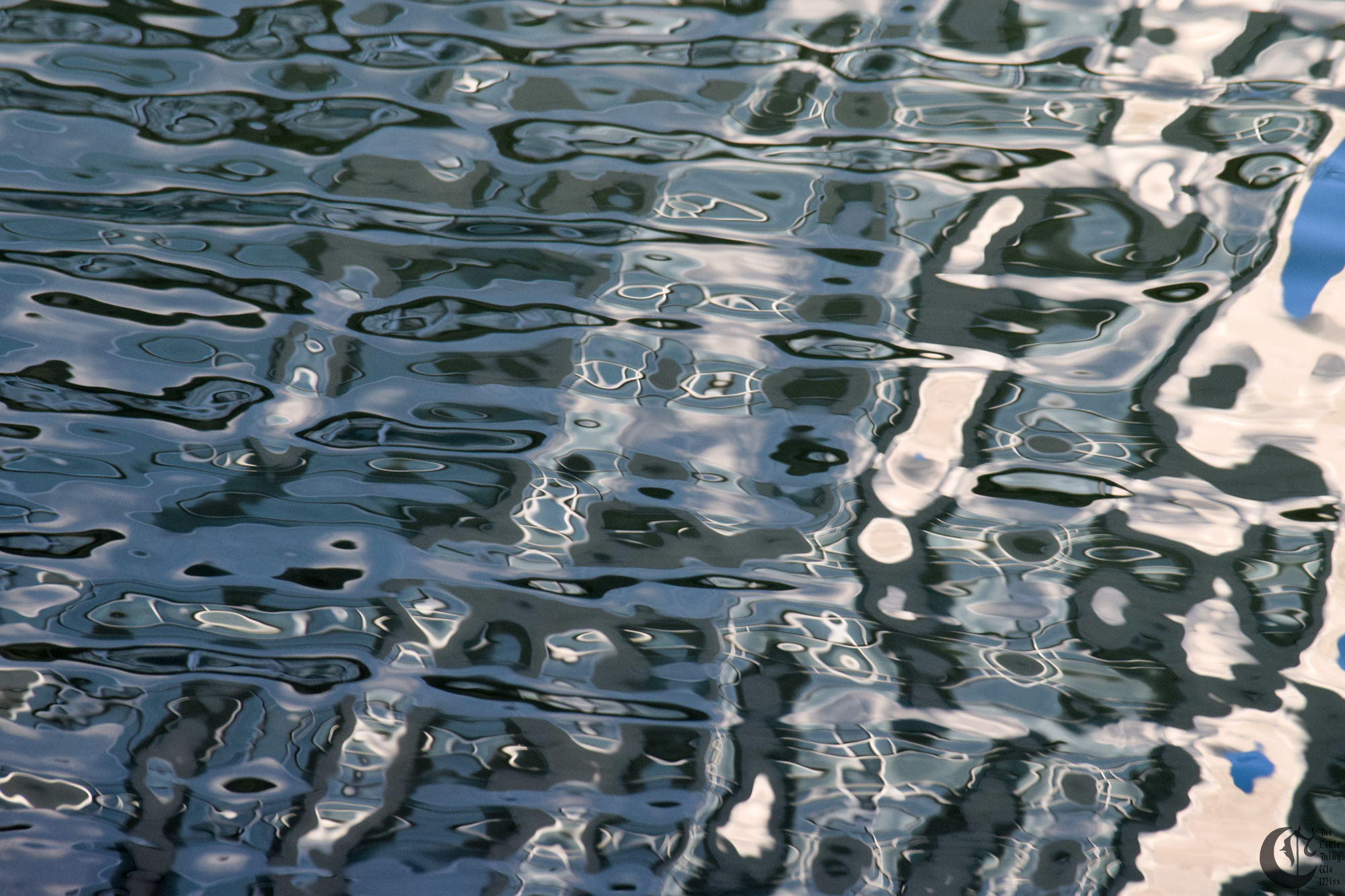 !!_936_-_DSC_5832!!