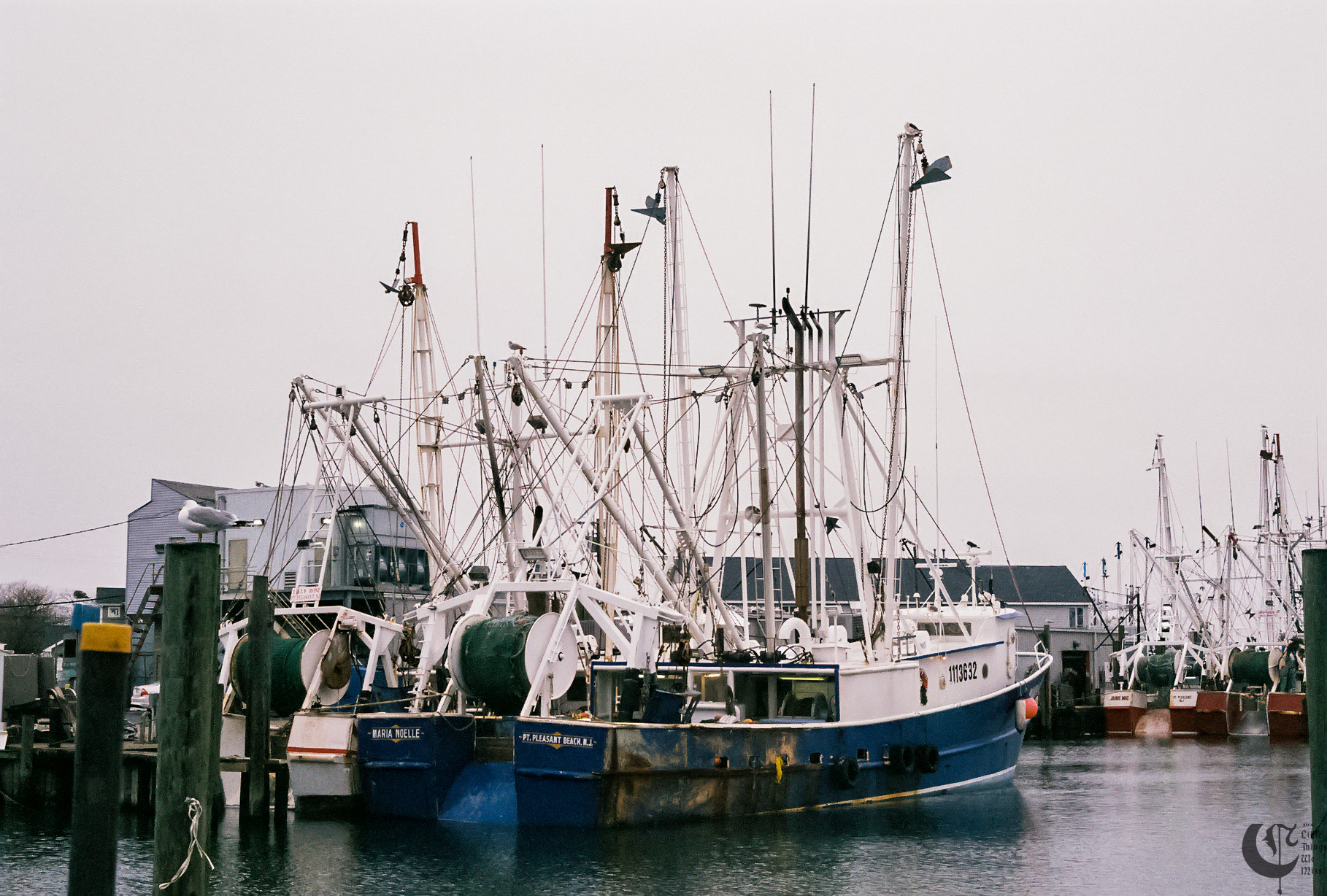 !!_230202_Jan_Film_0024!!