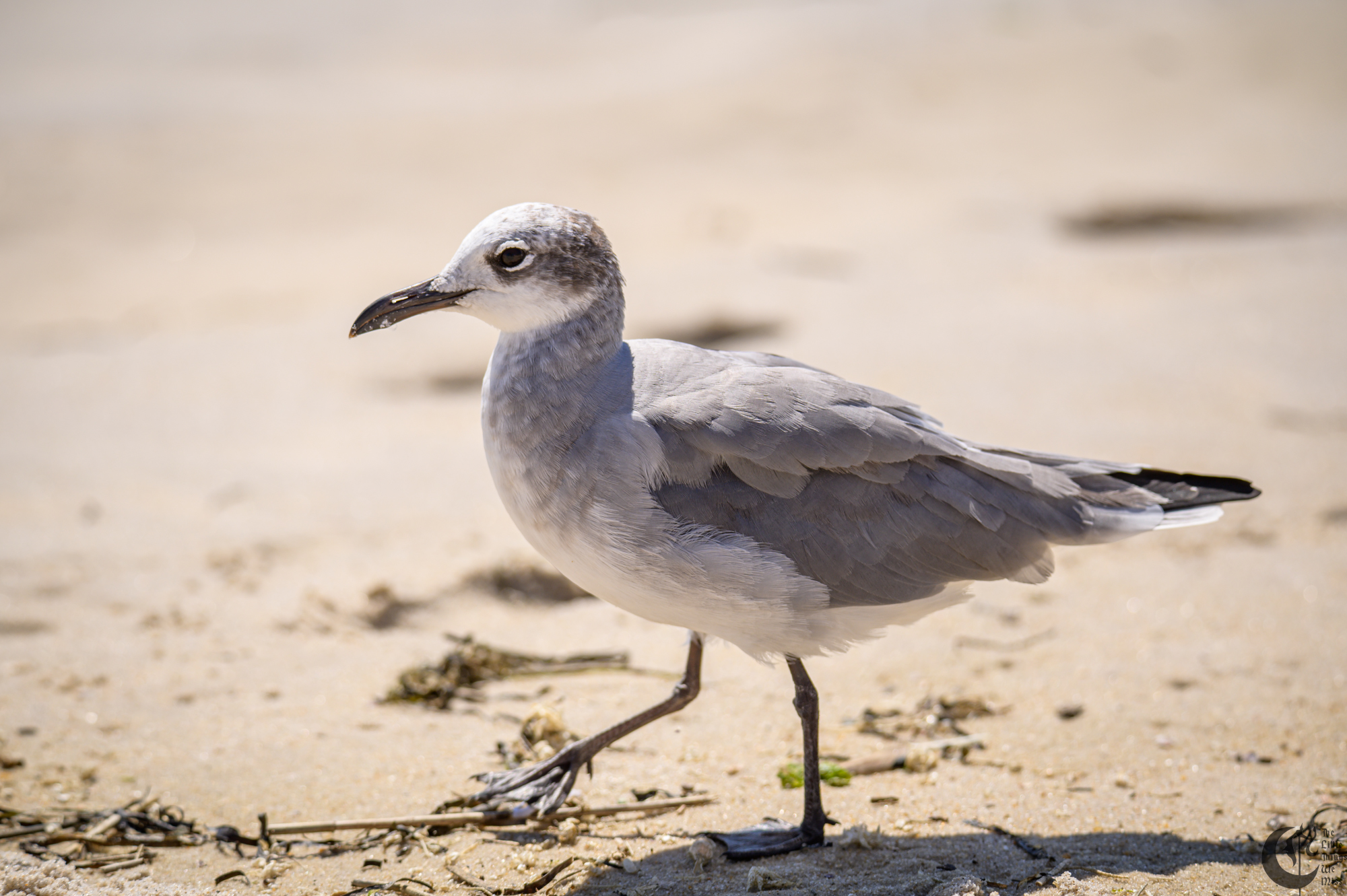 !!_220817_August_LBI_2607!!