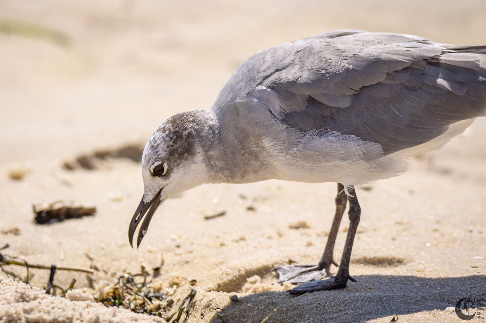 !!_220817_August_LBI_3114!!