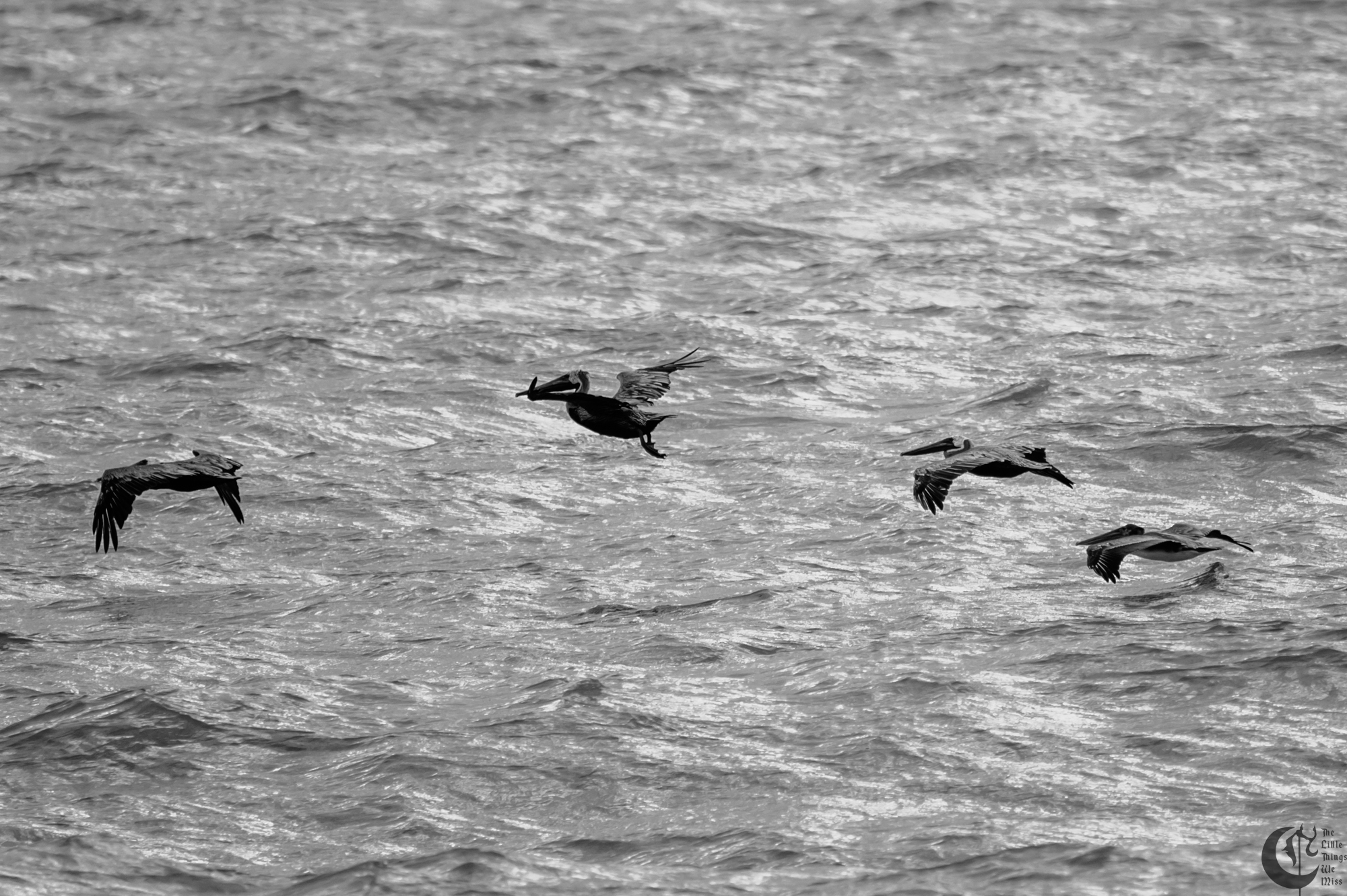 !!_221010_Myrtle_Beach_0308!!