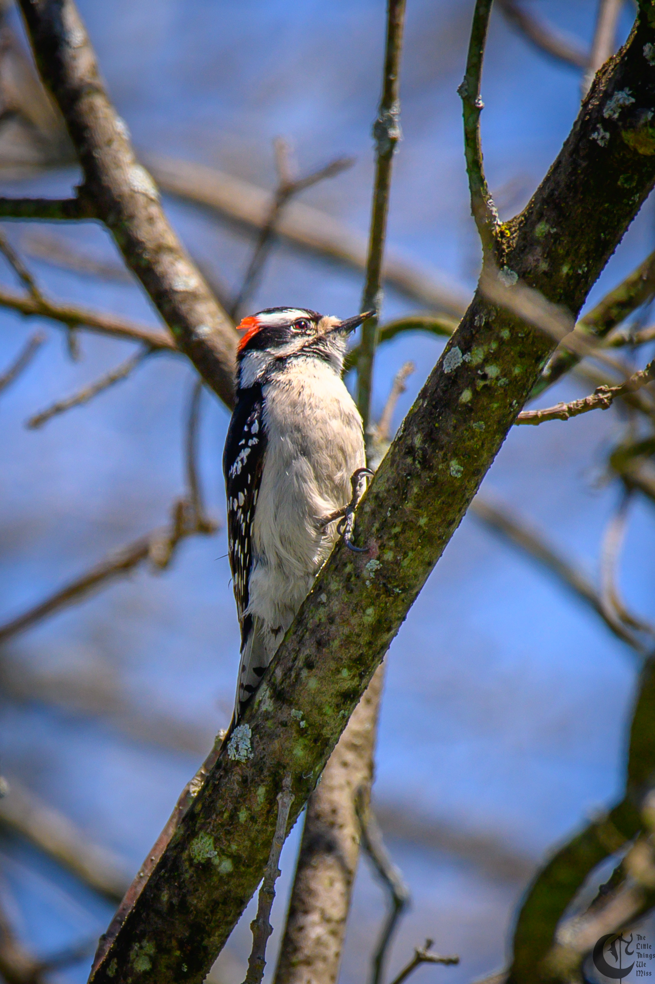 !!_220429_Bird_Watching_0014!!