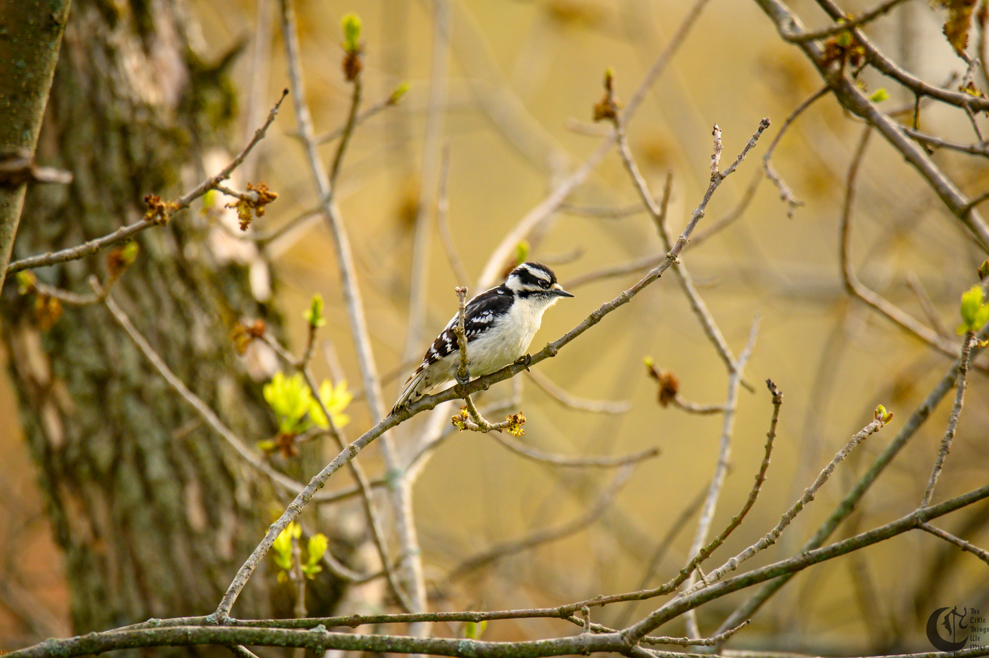!!_220503_Bird_Watching_0054!!