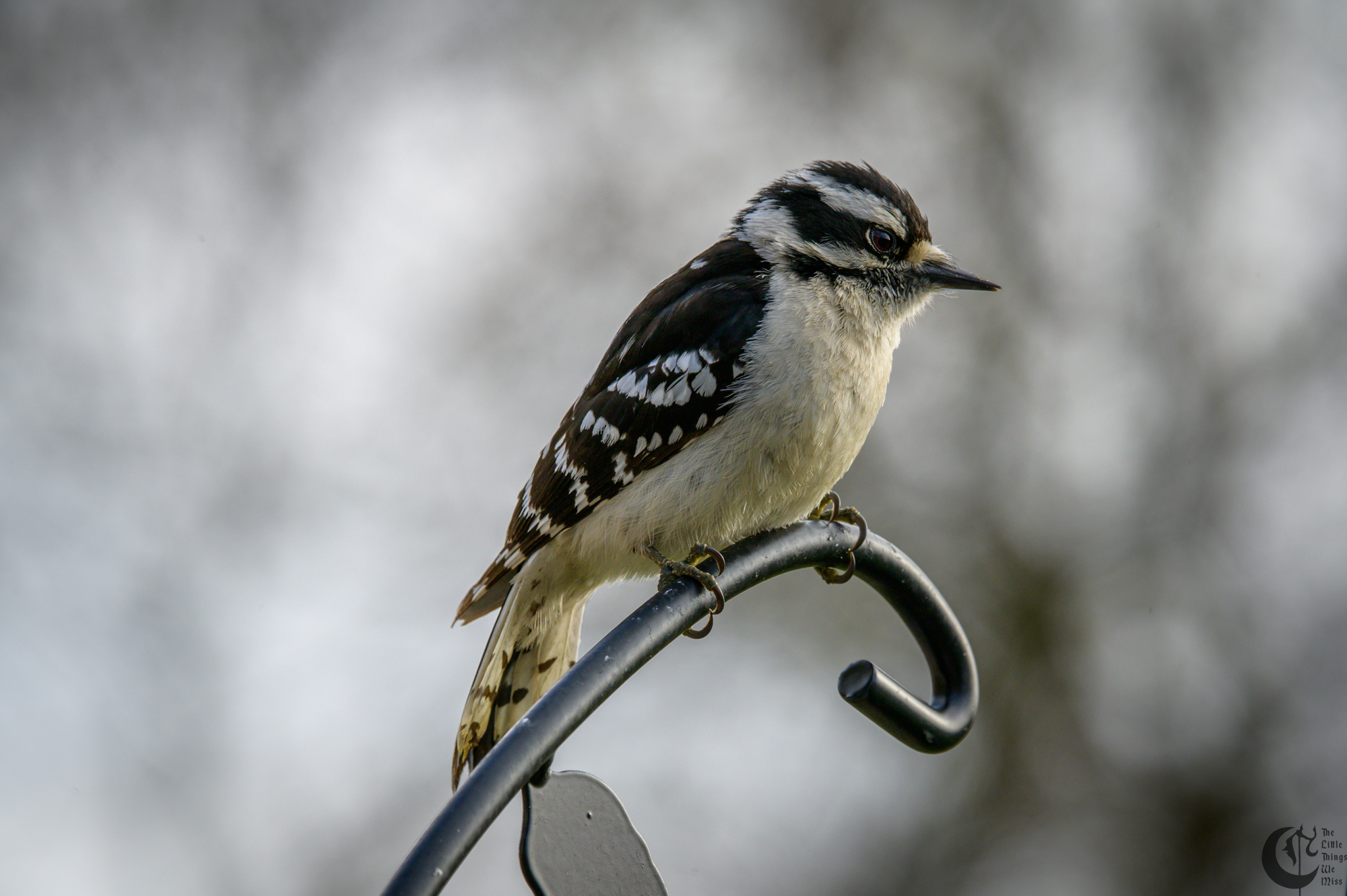 !!_220503_Bird_Watching_0062!!