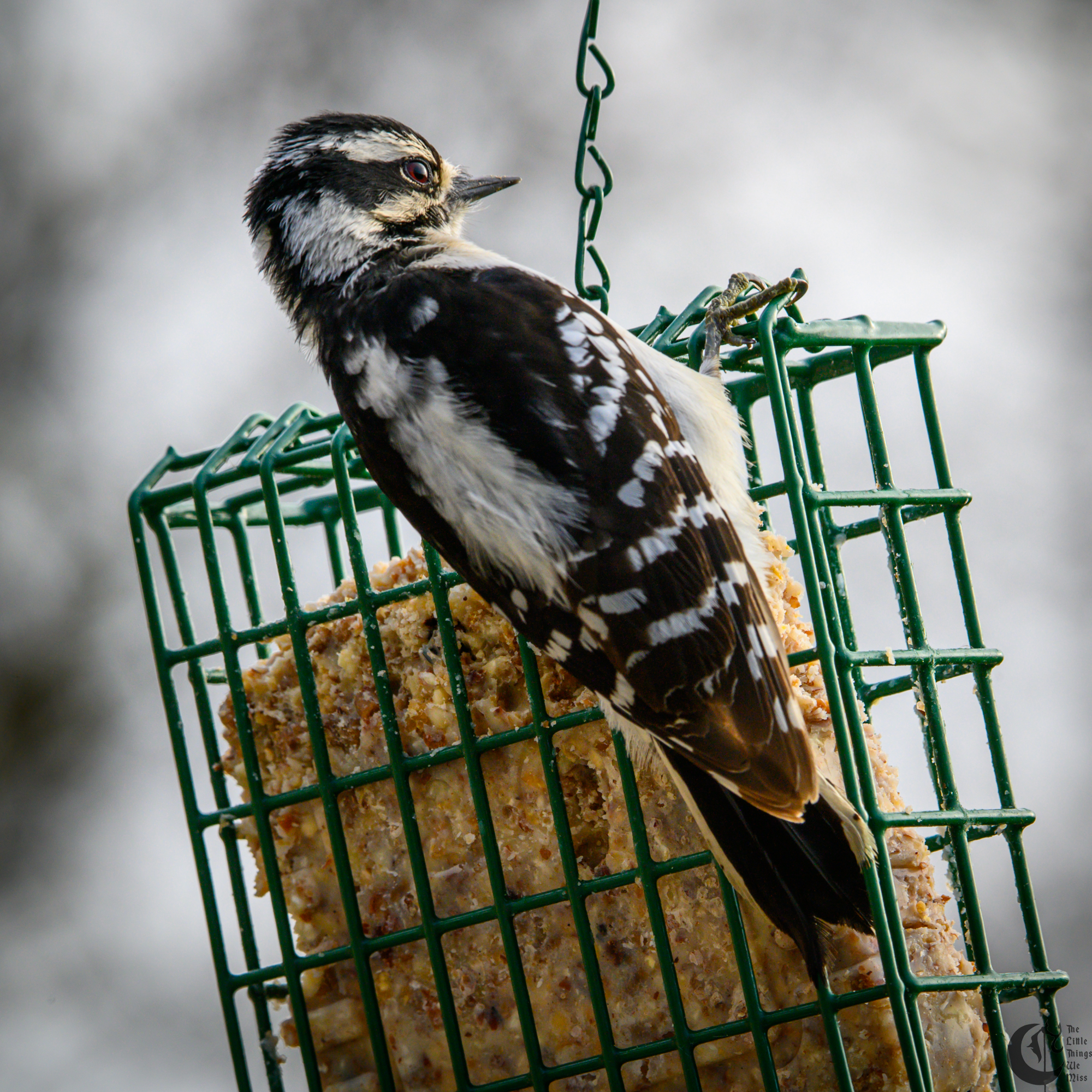 !!_220503_Bird_Watching_0065!!