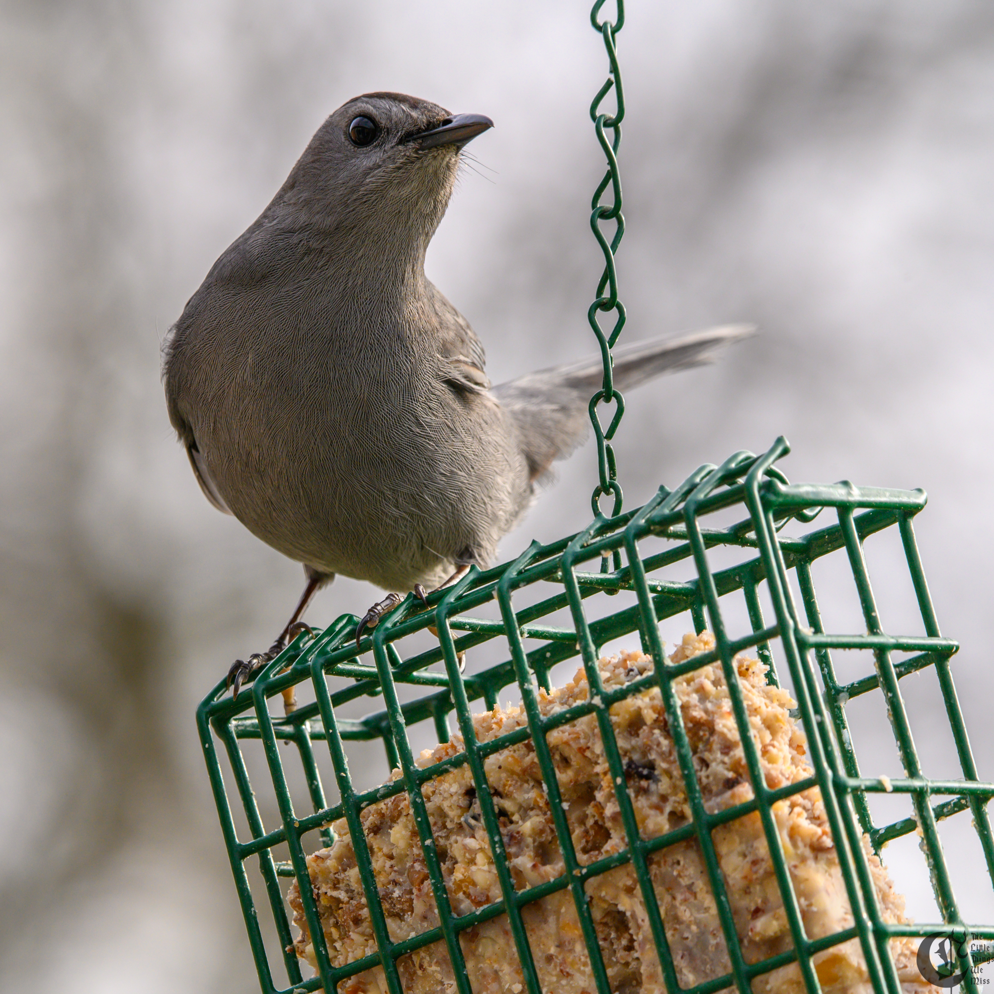 !!_220503_Bird_Watching_0091!!
