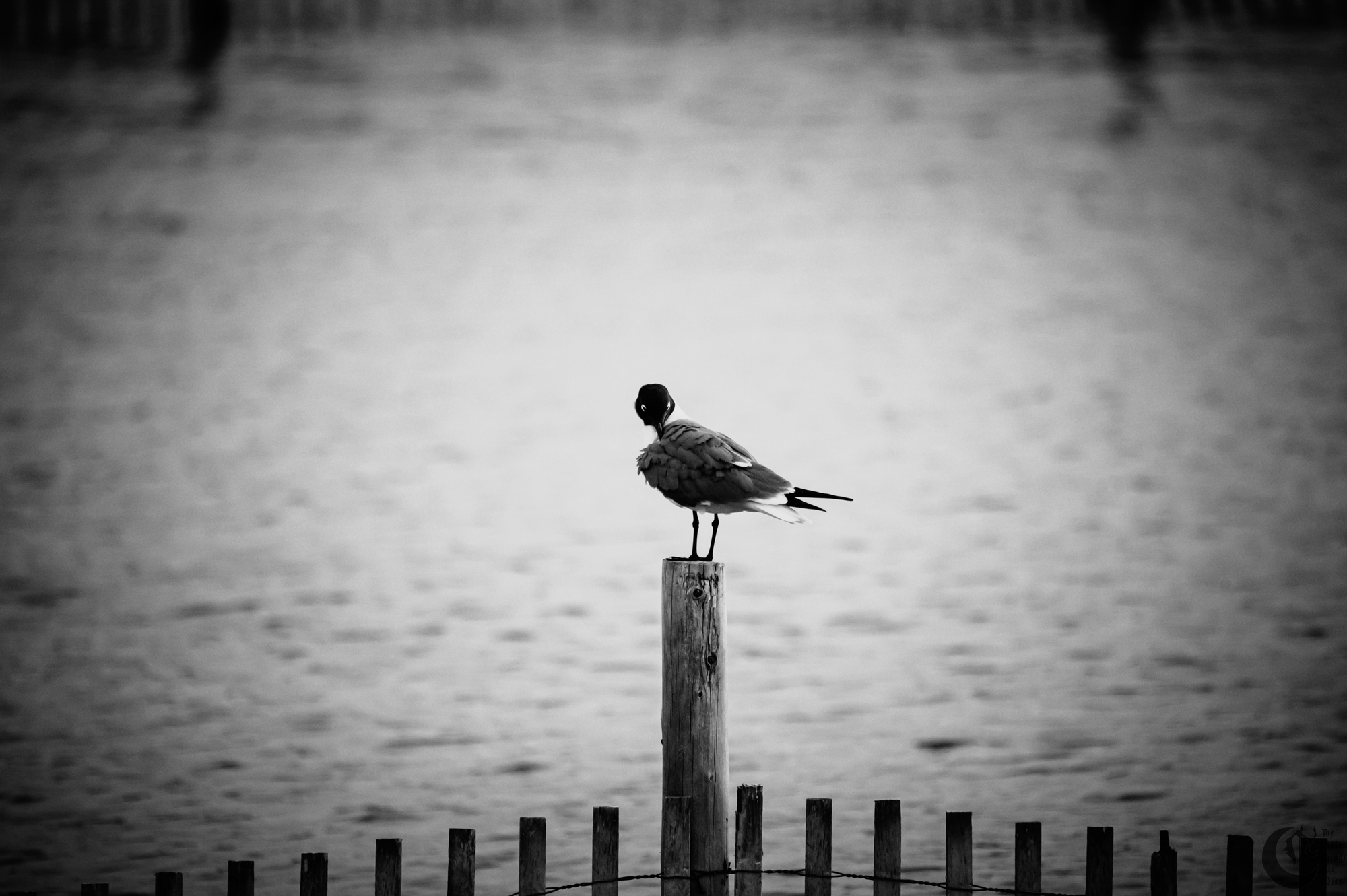 !!_230630_Shore_0002!!