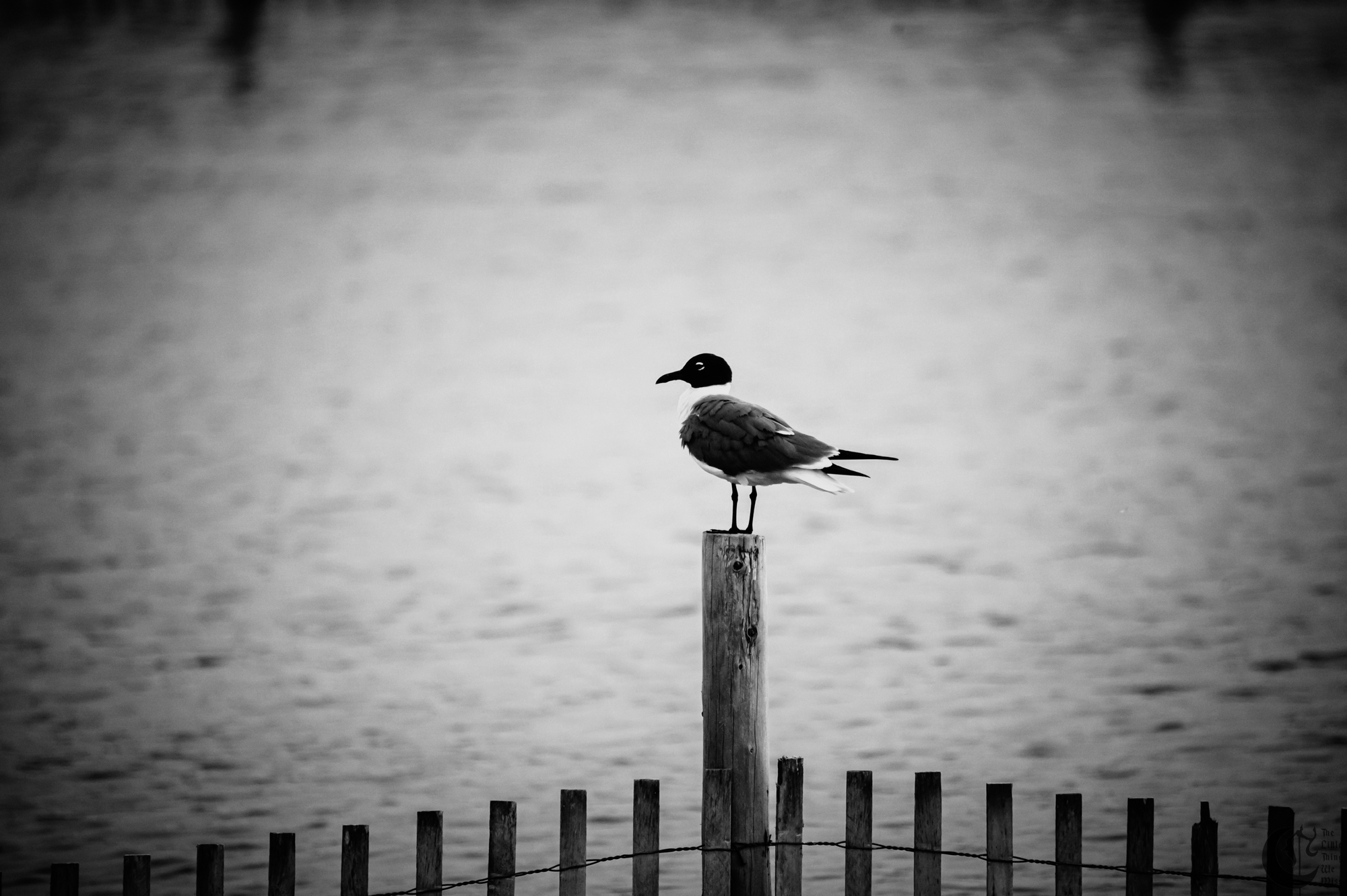 !!_230630_Shore_0004!!