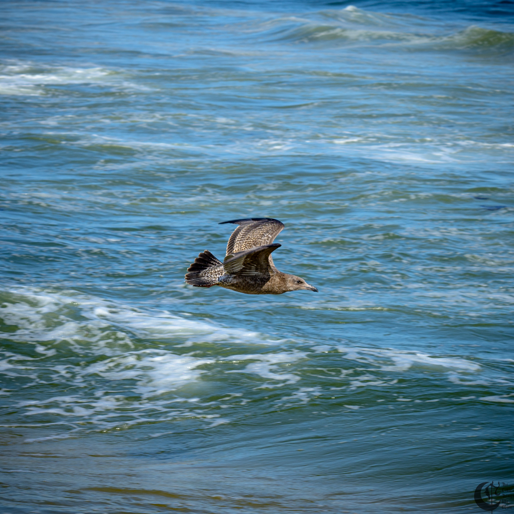 !!_241006_Asbury_Photo_Walk_0337!!
