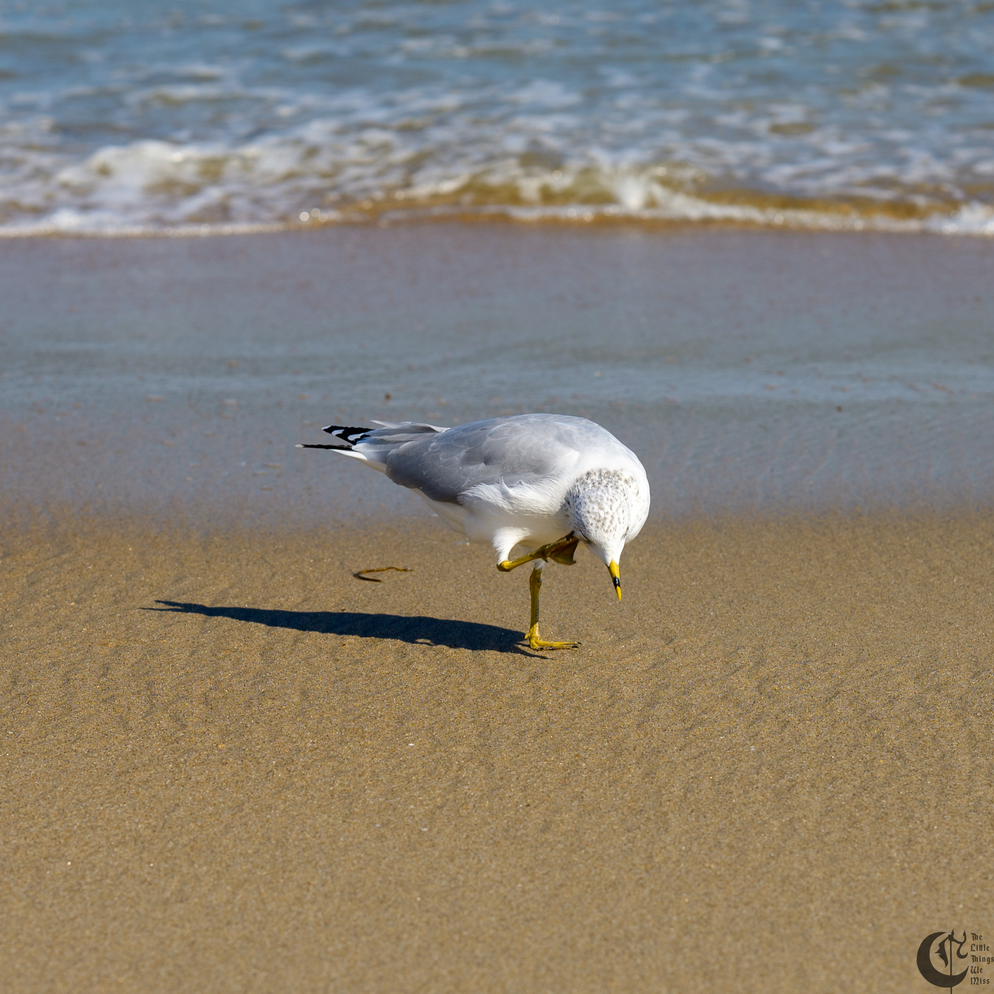 !!_241006_Asbury_Photo_Walk_0407!!