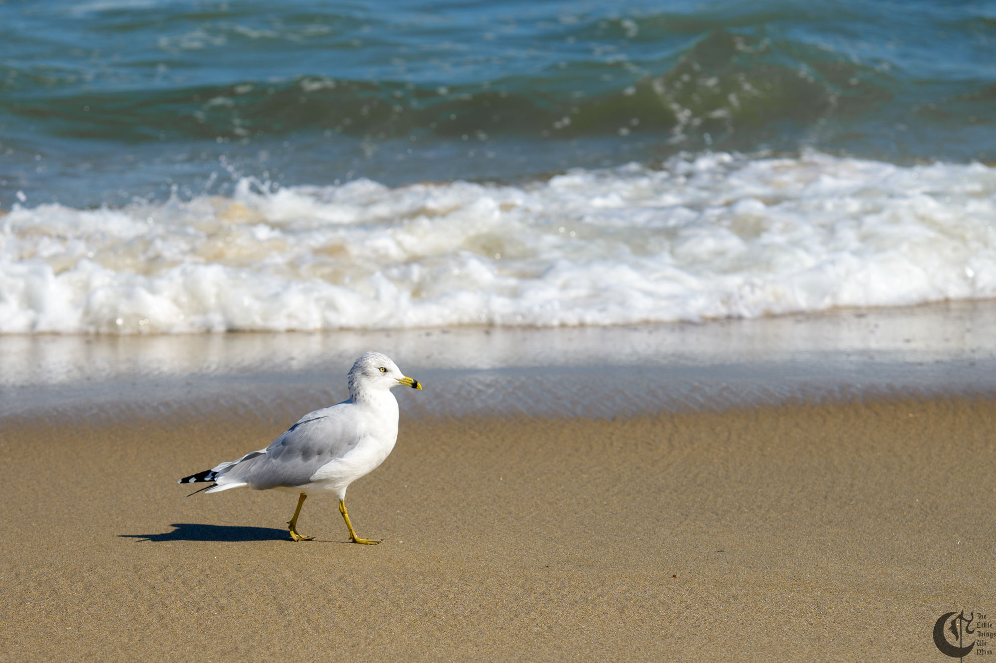 !!_241006_Asbury_Photo_Walk_0419!!